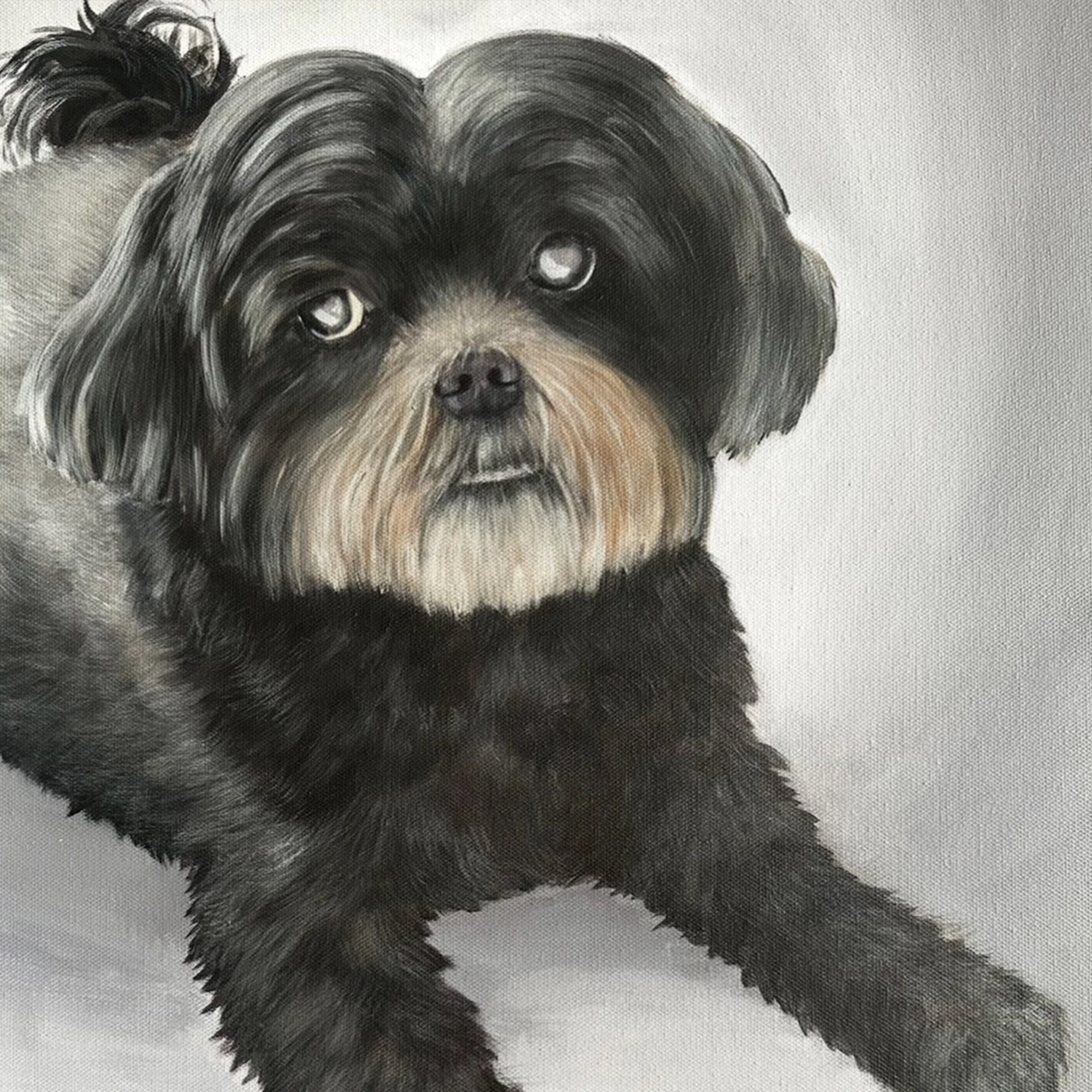 JB art 15 Dog coco.jpg