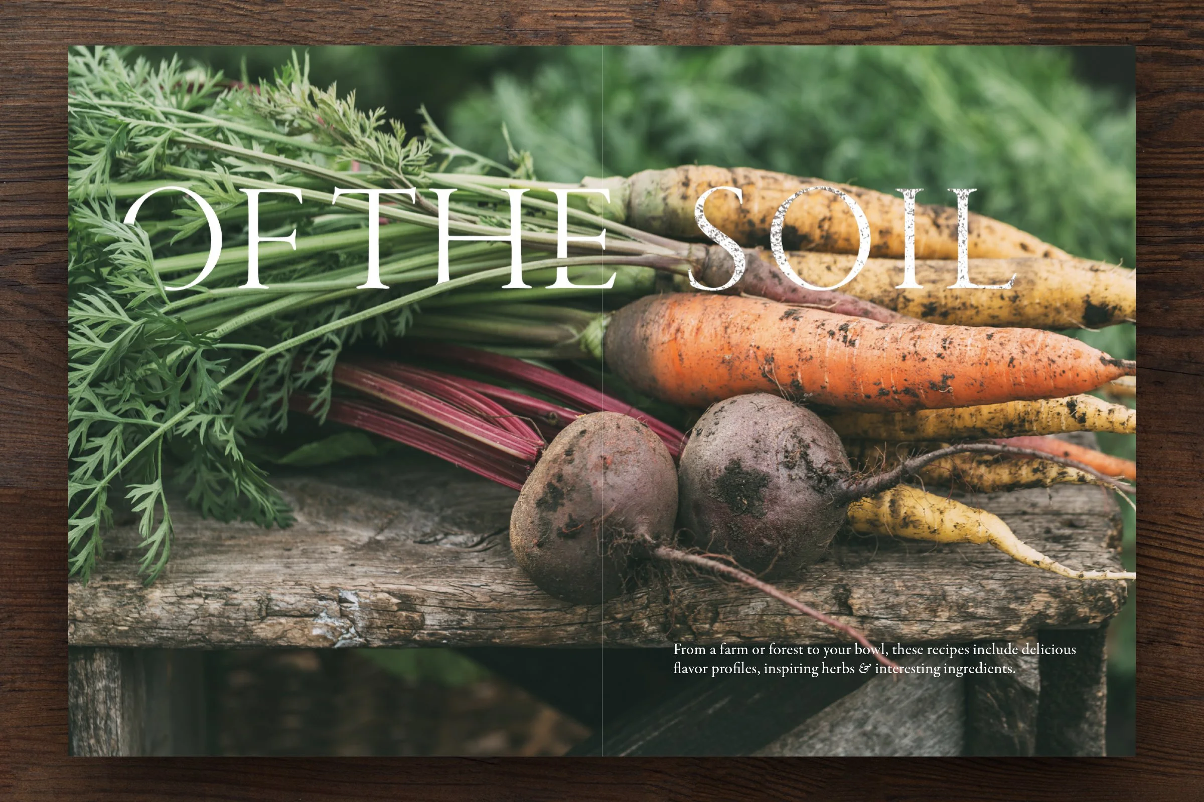 JB Design 01 FFF 08.jpg