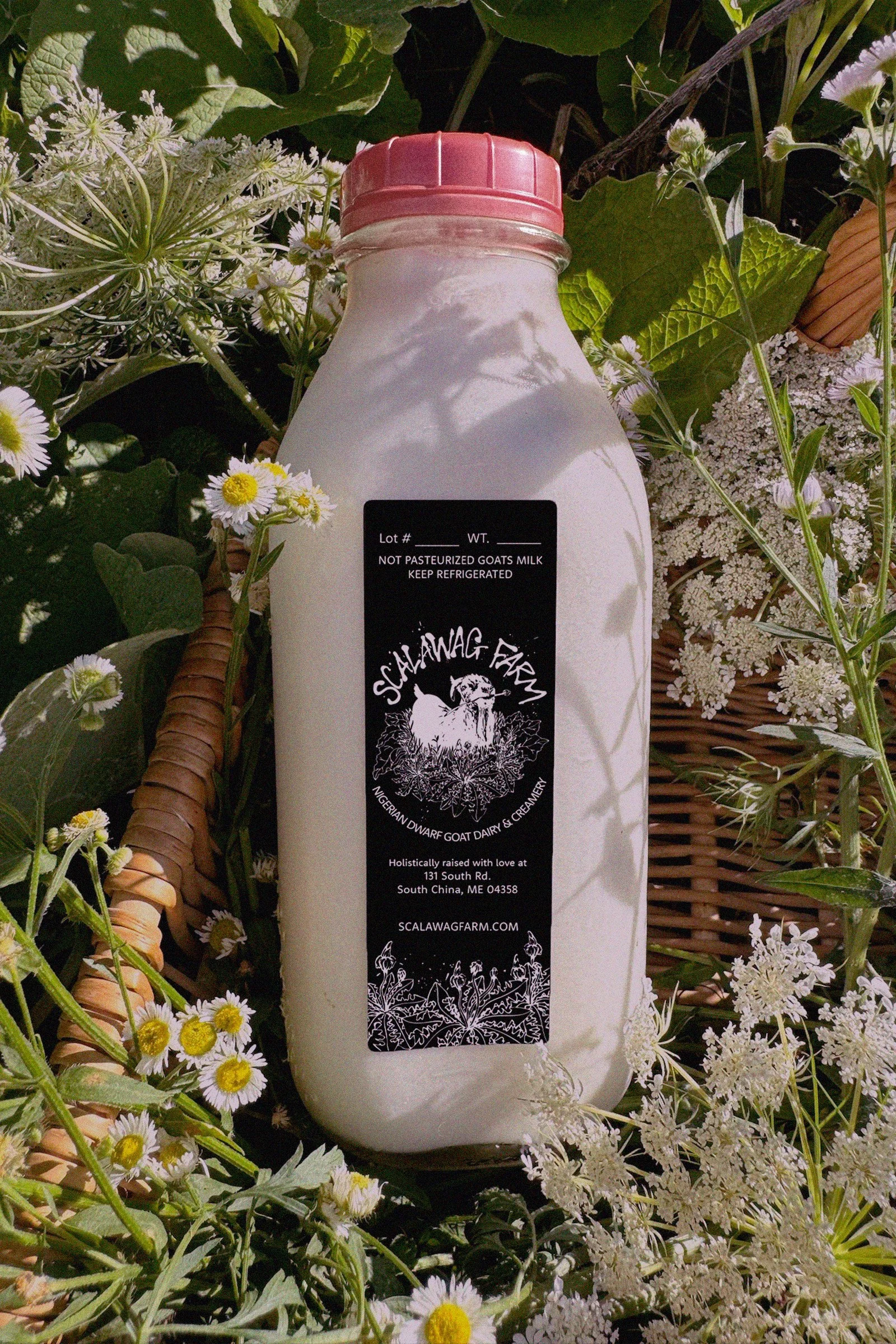 JB design 02 scalawag farm 02.jpg