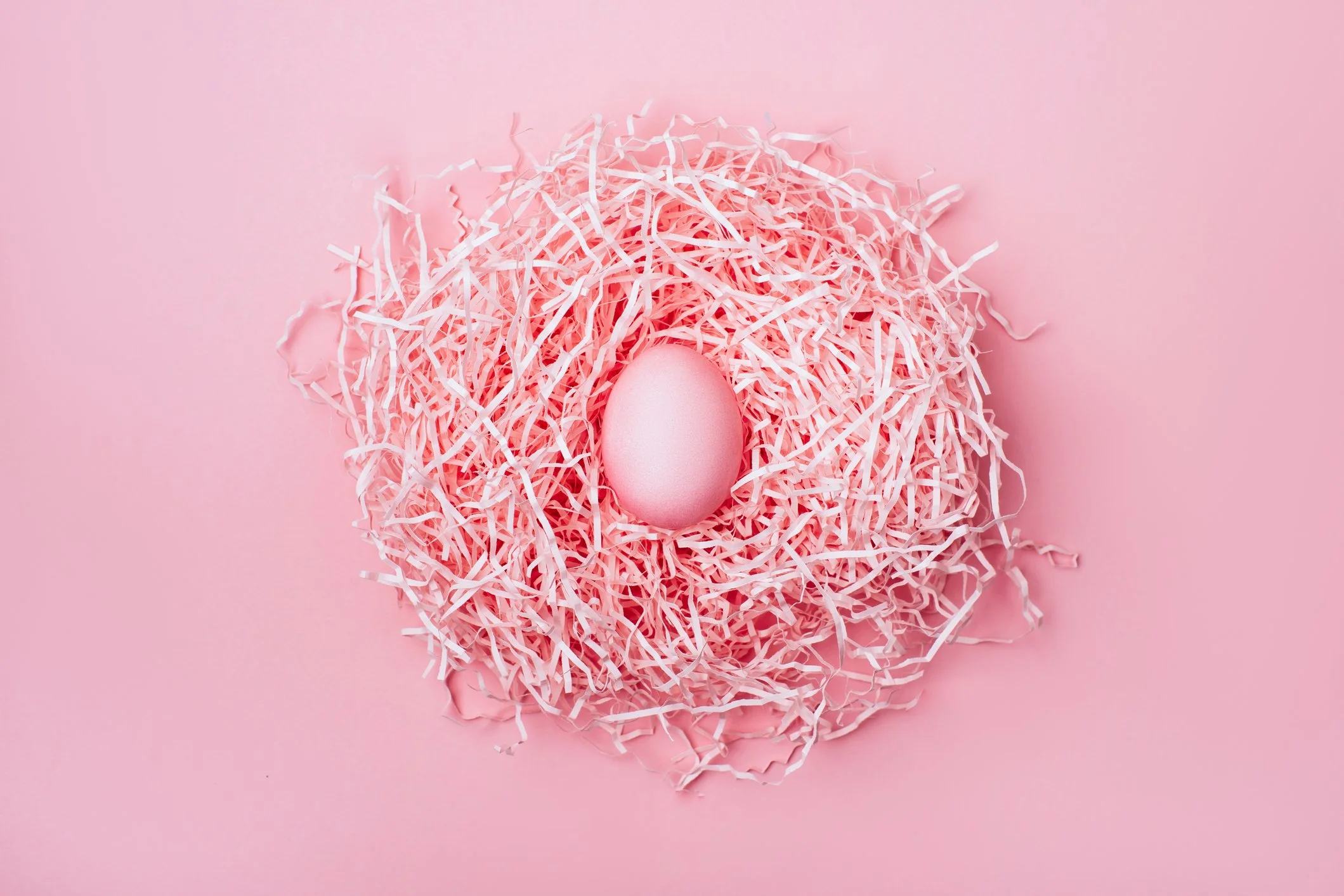 The Empty Nest — When the Role That Organized Your Life Walks Out the Door