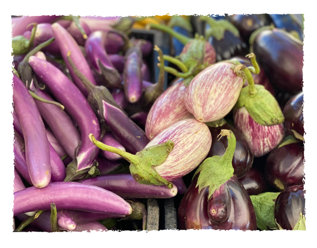 Close-up of fresh purple eggplants and striped Indian eggplants at a market display.
