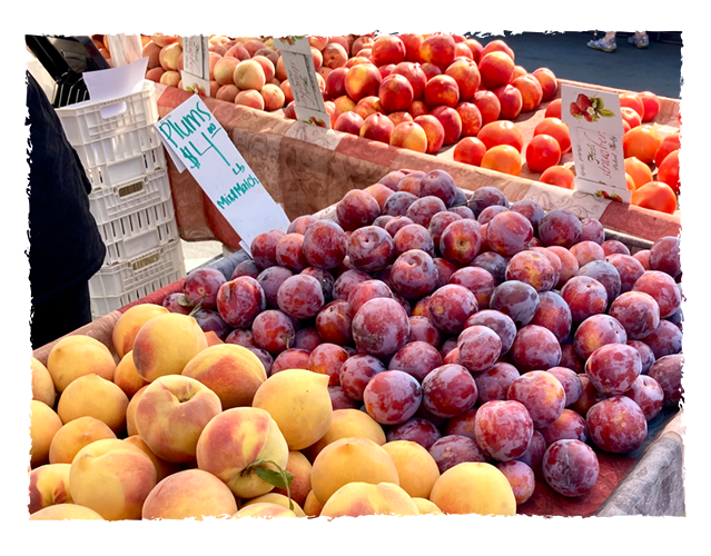 Fair display of peaches and plums at a market stall with price signs.
