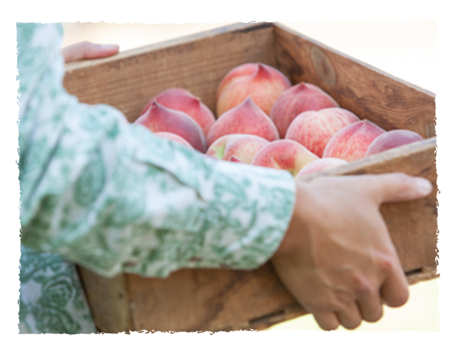 A person holding a wooden crate filled with peaches.
