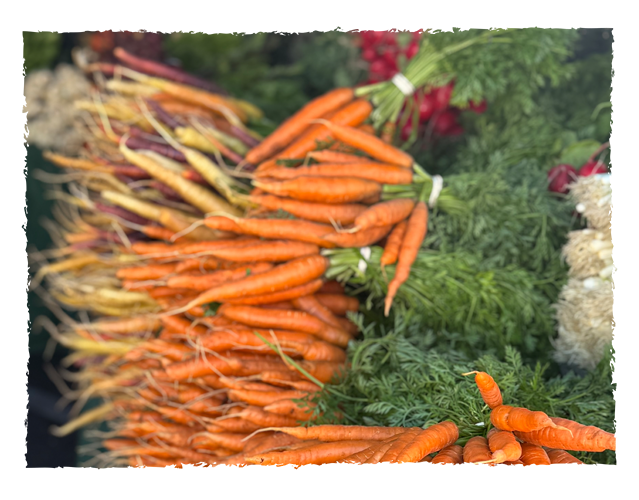 Fresh carrots with green tops at a farmer's market display.