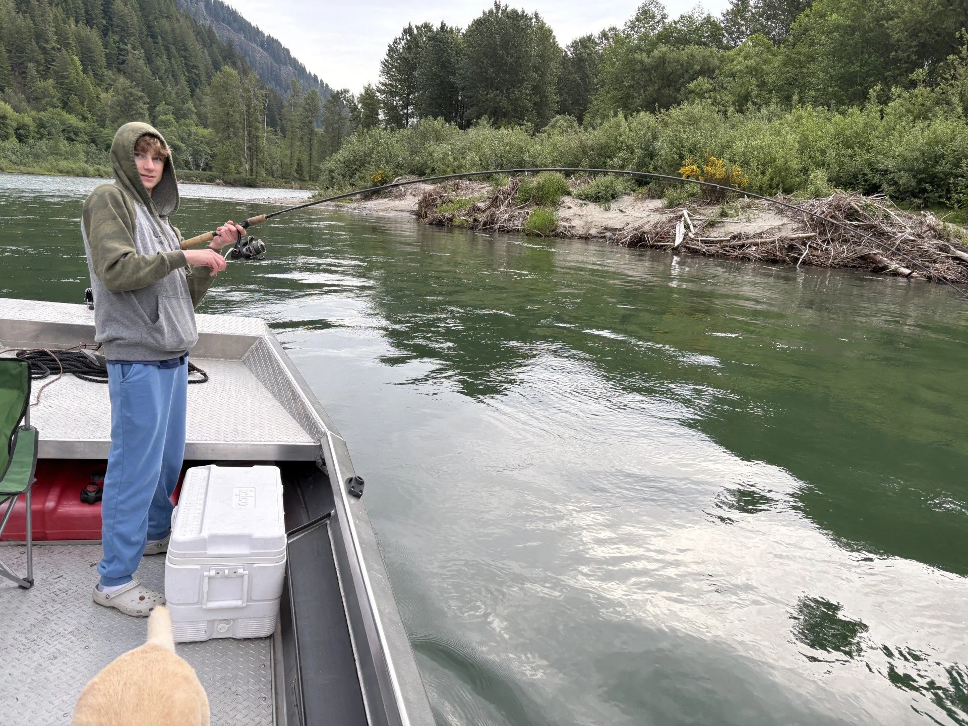 Fighting a steelhead on the Skagit River.