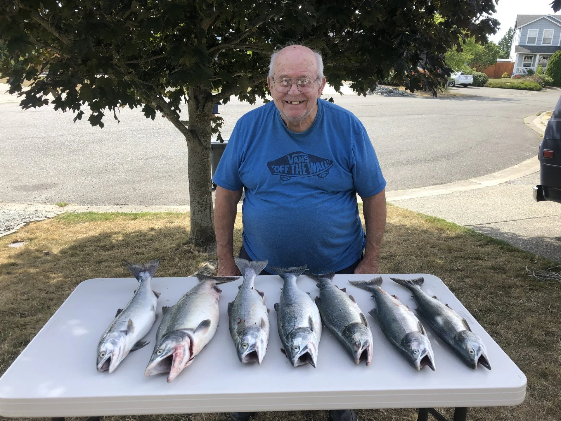 A near-limit of salmon from a great day of salmon fishing on the Skagit River.  Humpies make a great guided salmon trip.  Humpies offer fast action on guided fishing trips.