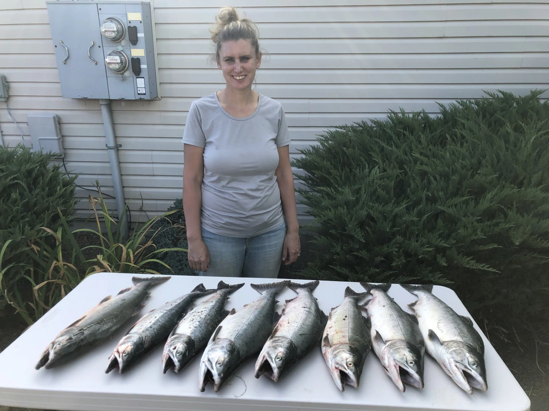 Your guide's wife smiling over a full limit of pink salmon (humpies) from a successful salmon fishing trip on the Skagit River.  Humpies make a great guided salmon trip on the Skagit.