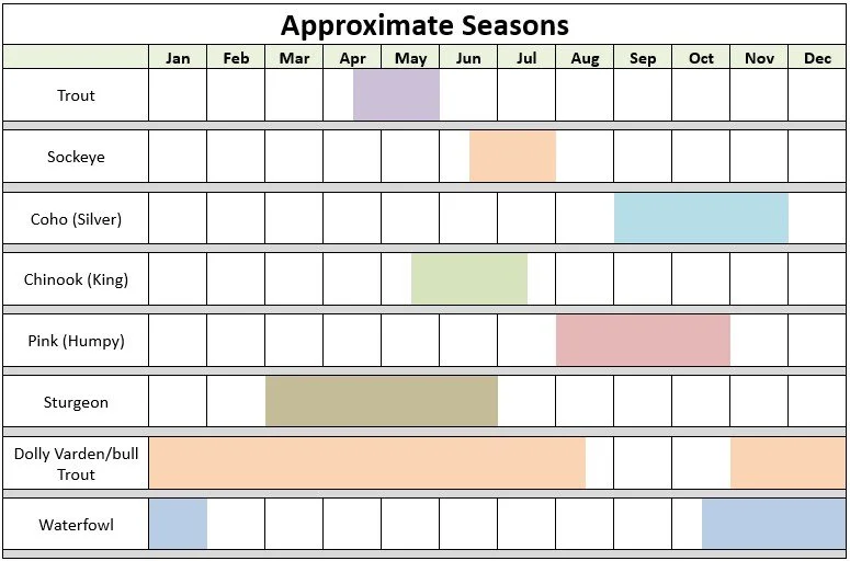 A chart showing approximate seasons on the Skagit River for different fish species, including sockeye, coho, chinook, pink, sturgeon, Dolly Varden/bull trout, and waterfowl, across the months from January to December.