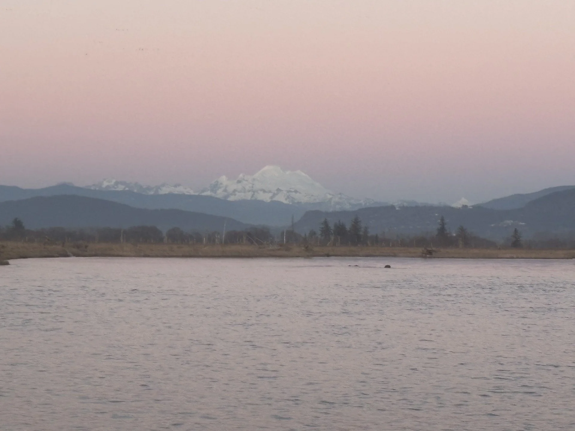 An evening view of Mount Baker in Skagit Valley.
