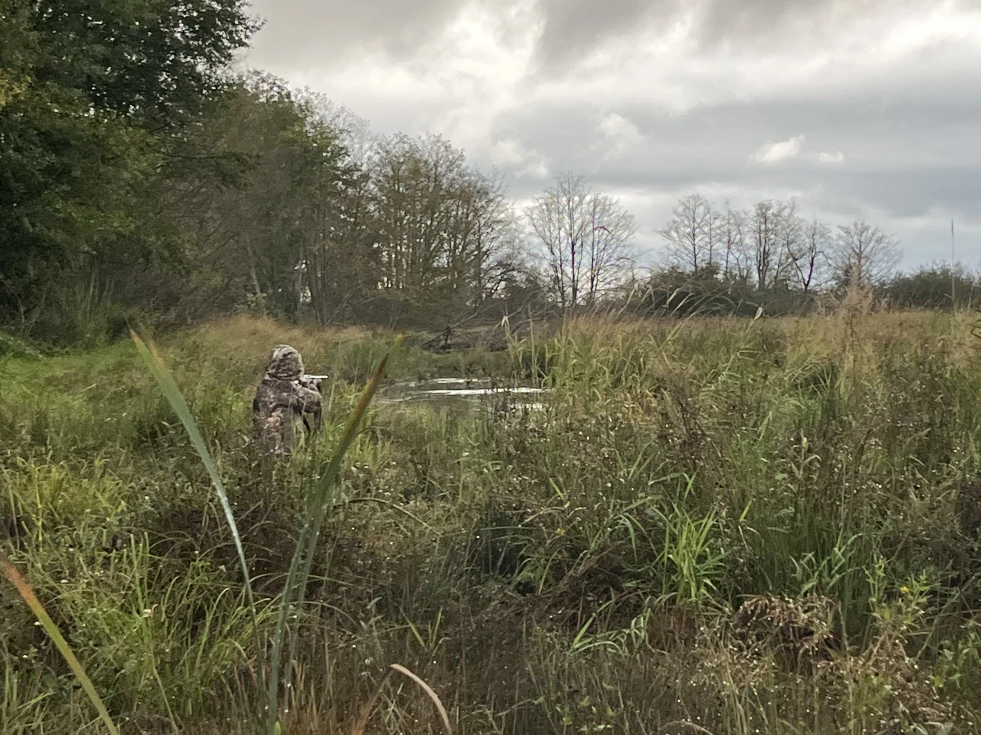 Jumping a few ducks in the upper marsh.