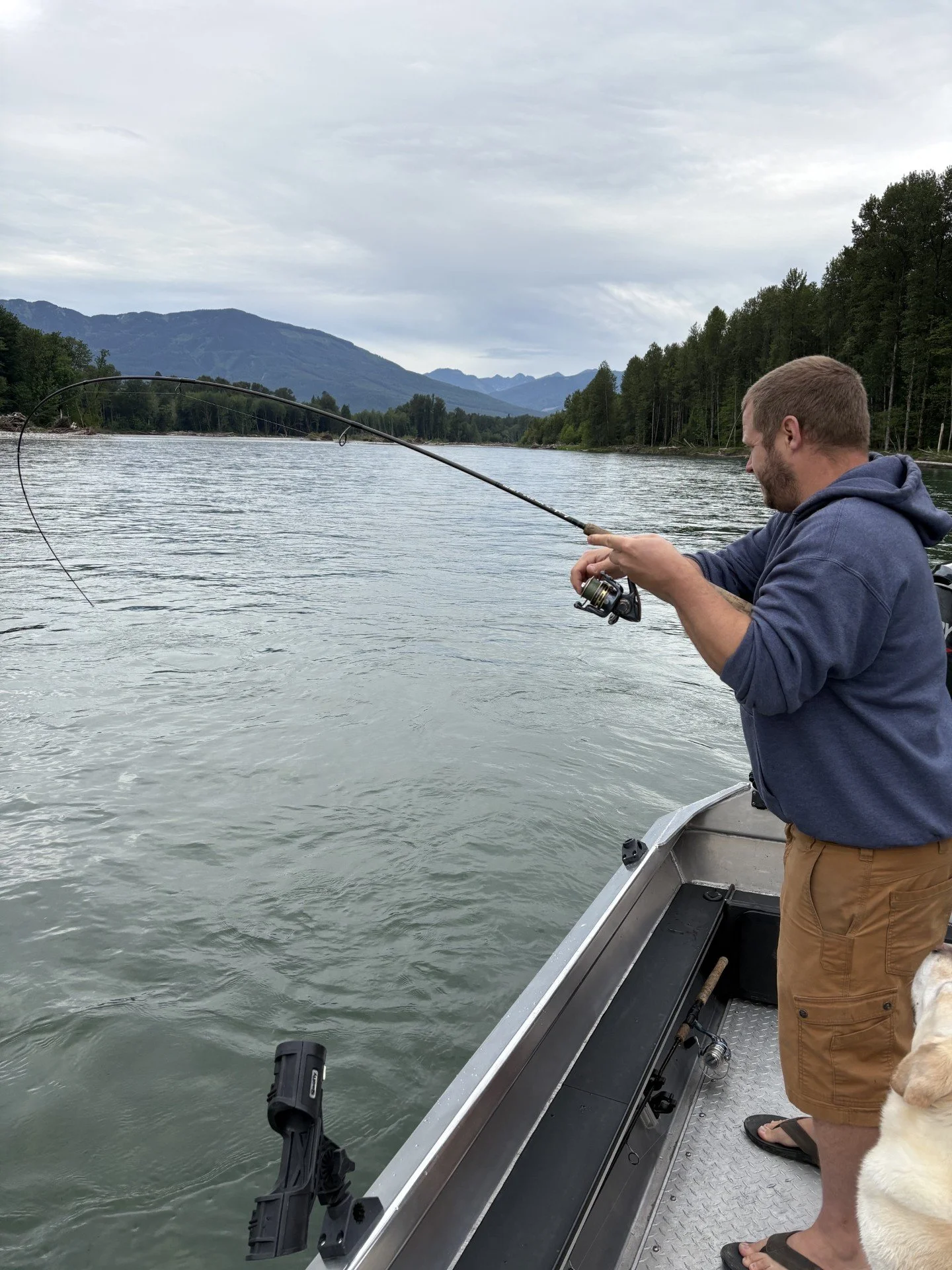 Wyman Guide Service wrestling a fish on the Upper Skagit.