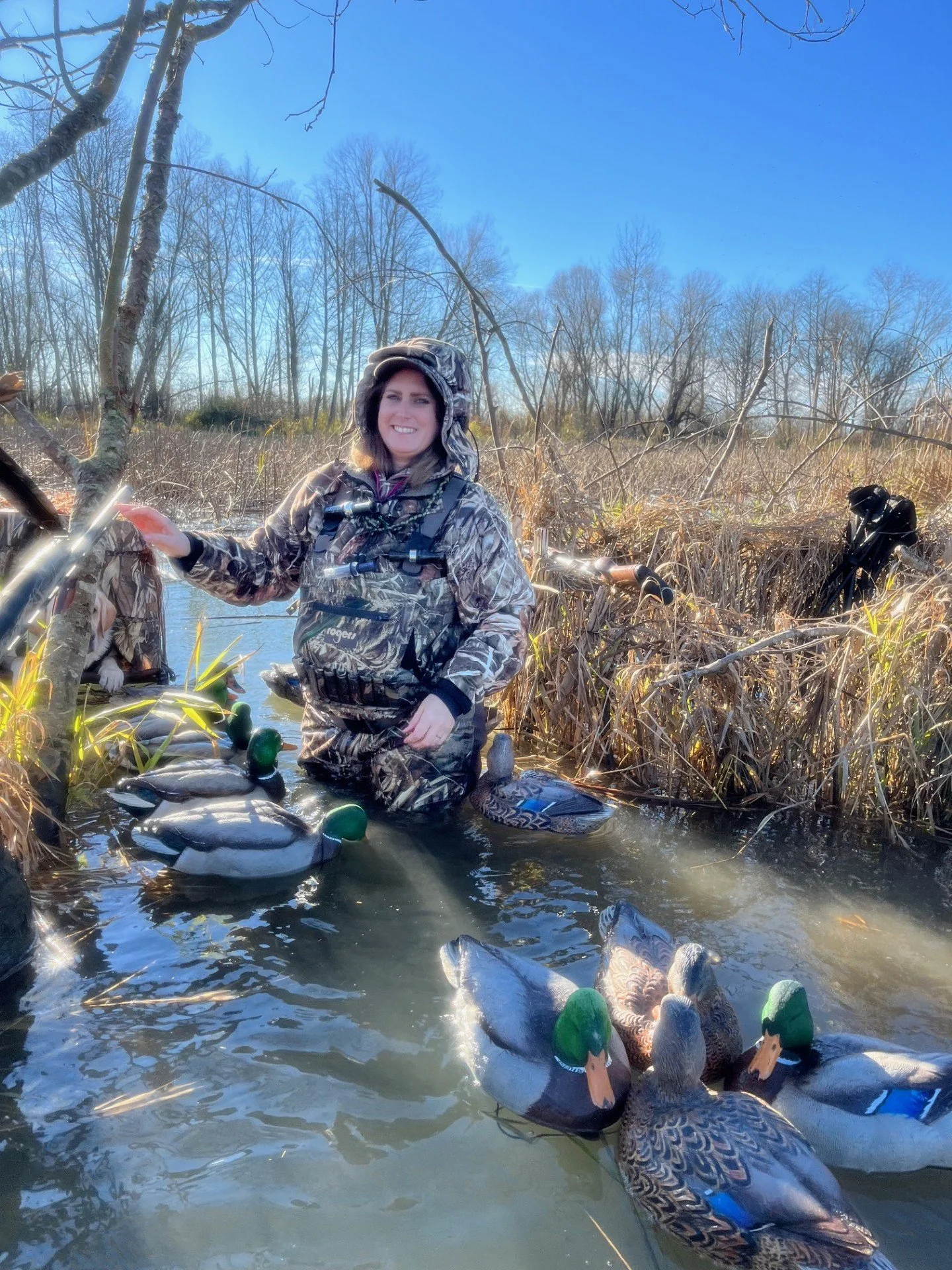 Your guide's wife pulling decoys at the end of a duck hunting trip right off the Skagit River in Skagit Valley.