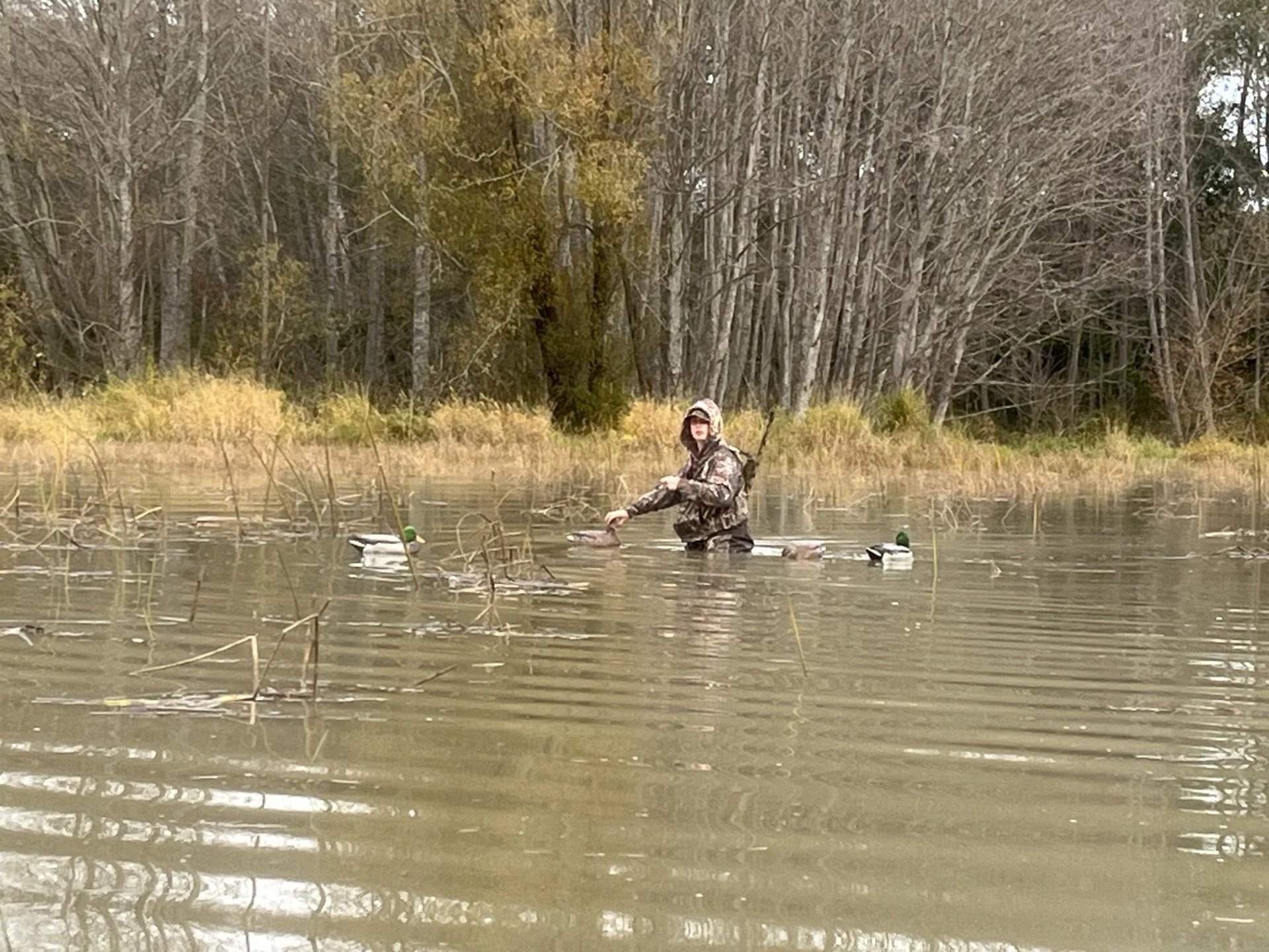Moving decoys around.