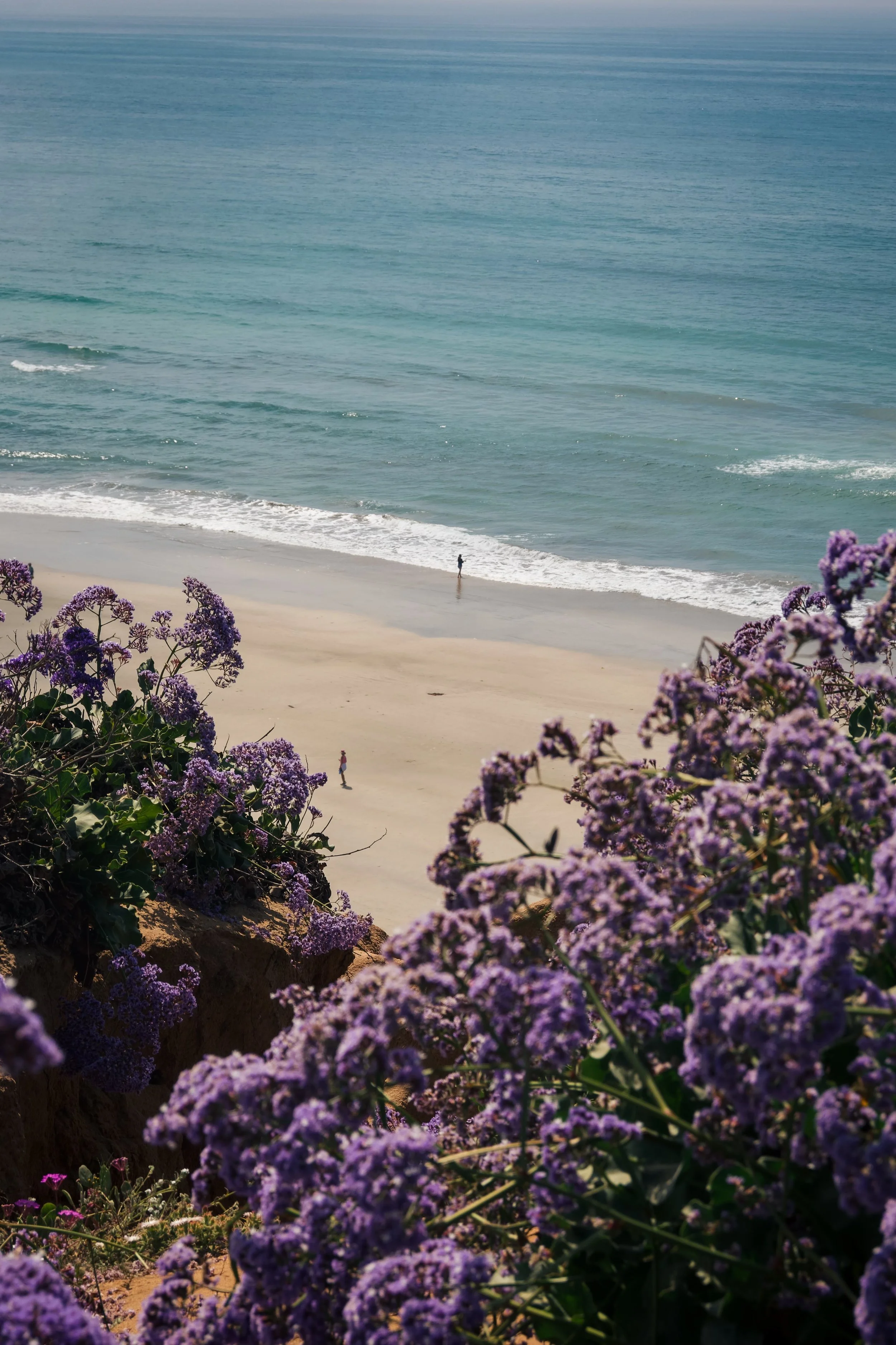 A Weekend in San Diego: Travel Guide