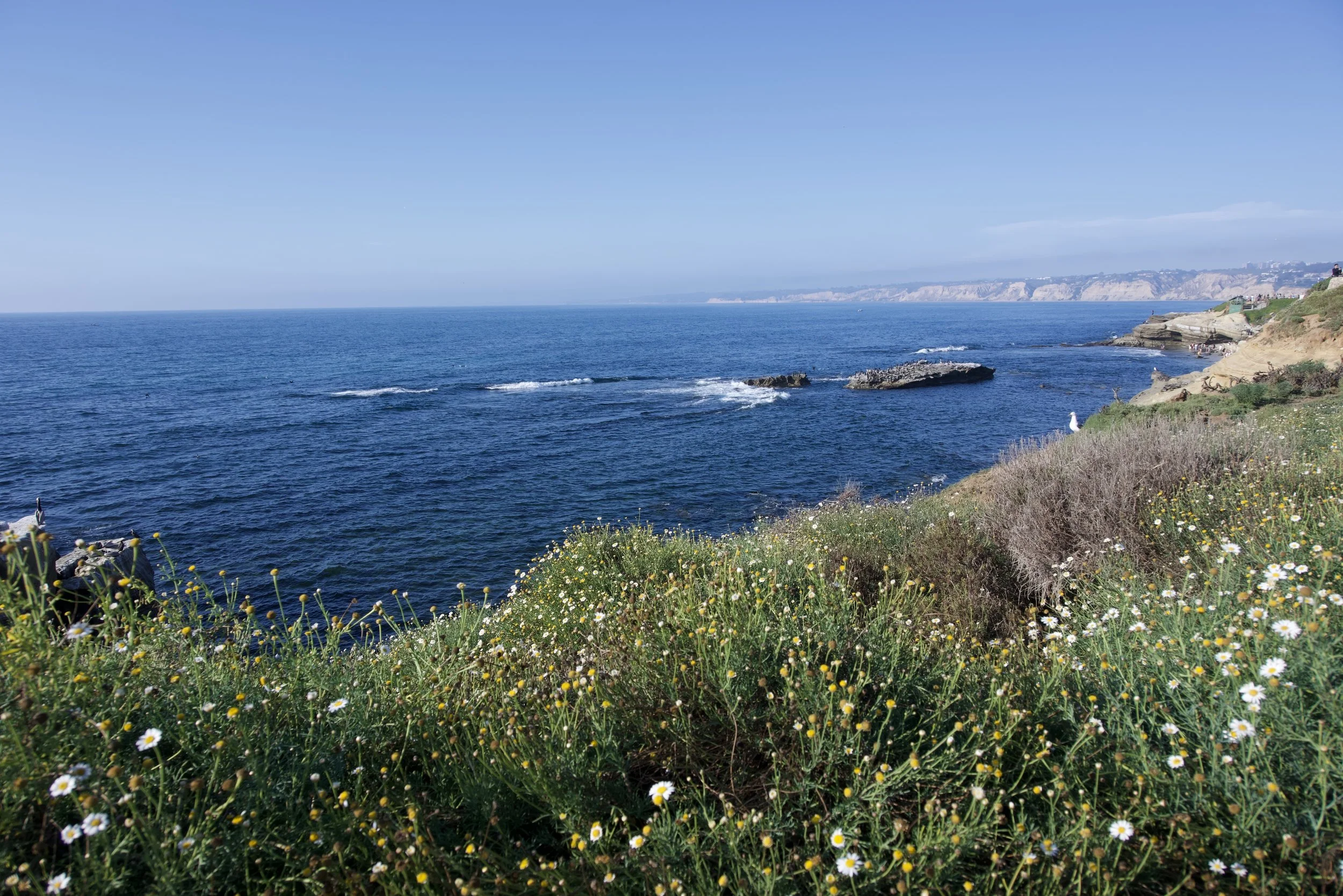 San Diego coastline