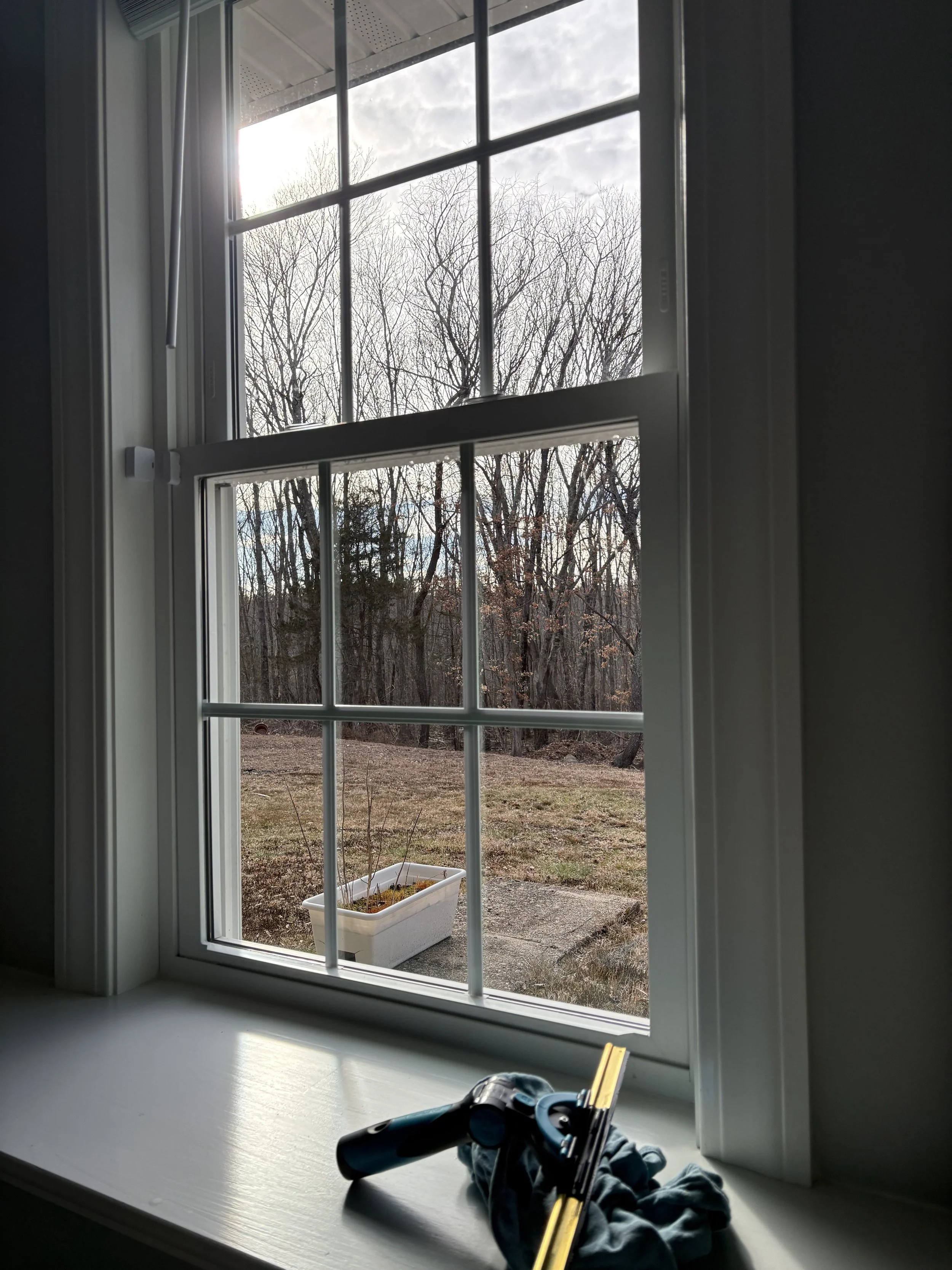 IMG_0212.jpeg