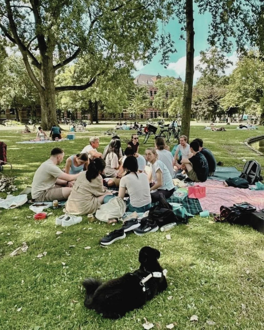 A group of people sitting on picnic blankets in a park. Black dog in the foreground.