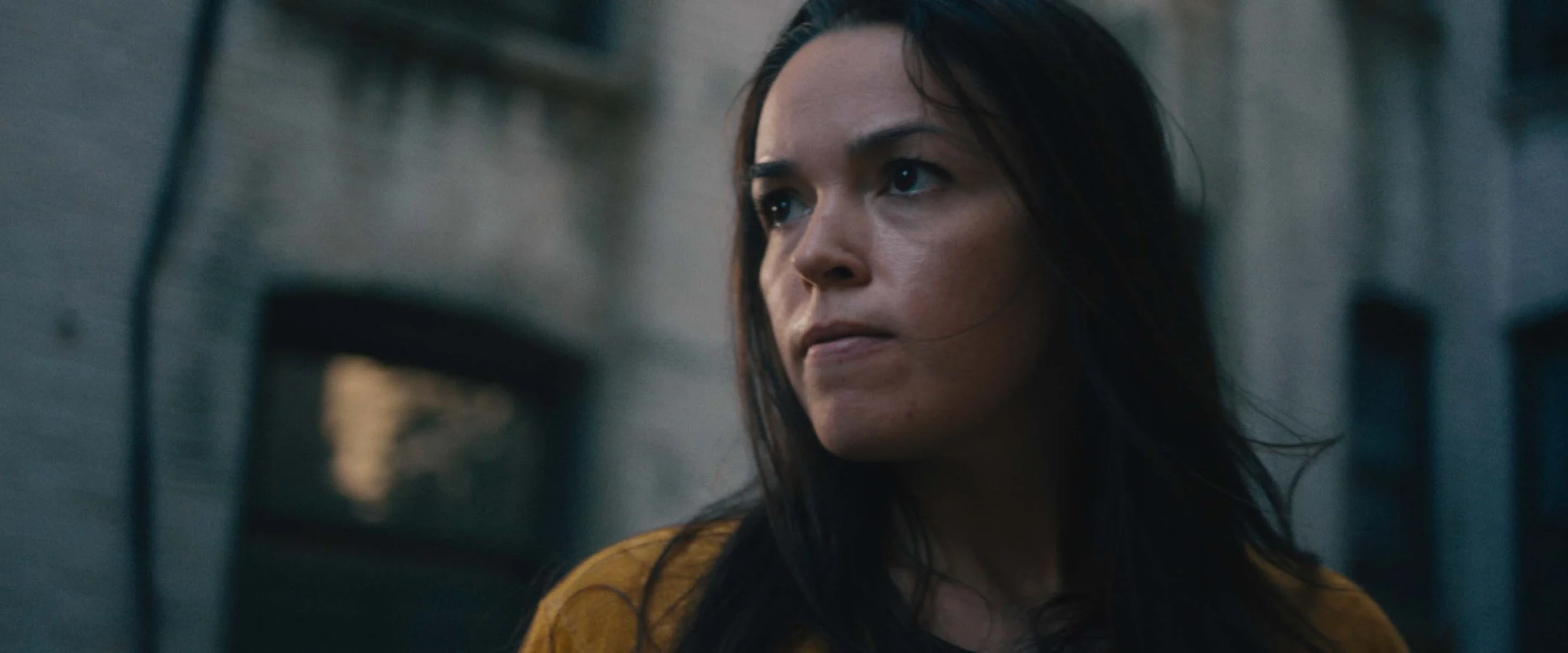 Screen Shot 2023-10-10 at 7.00.26 PM.jpg