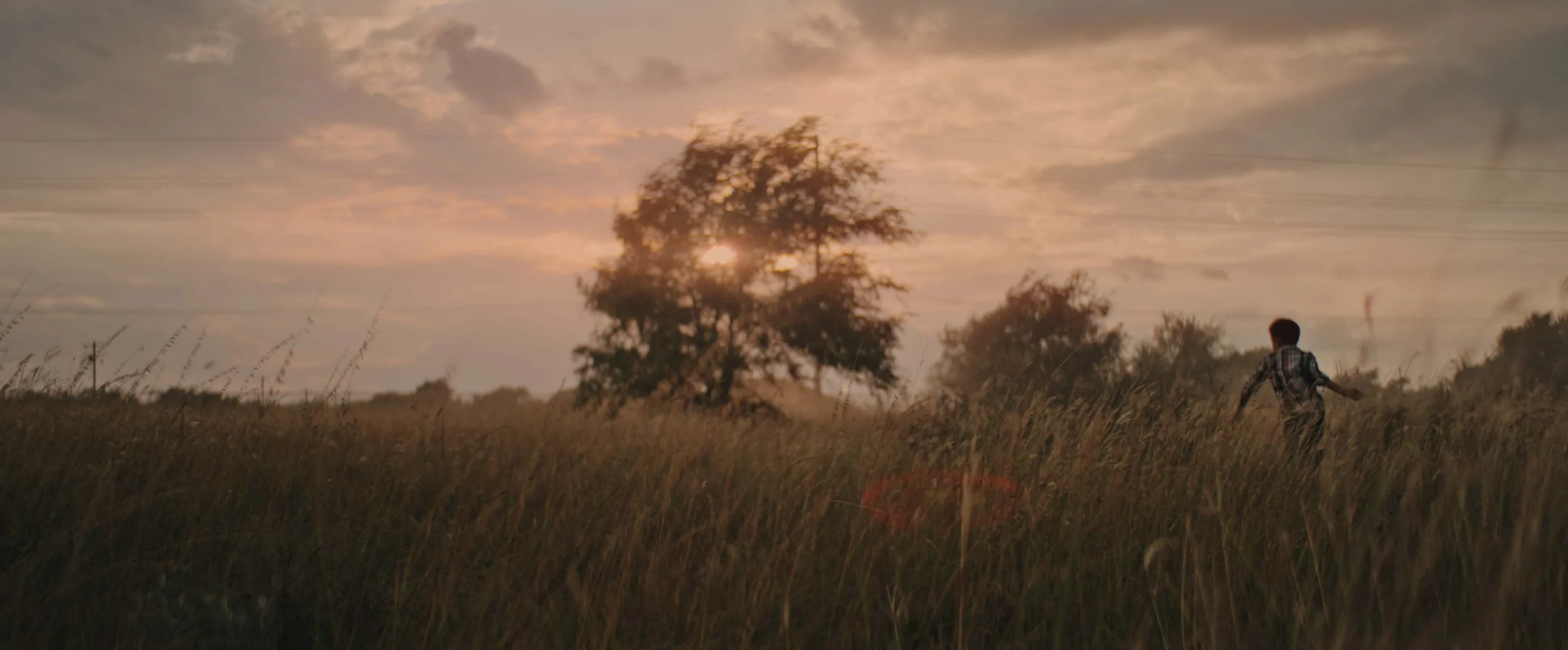 Screen Shot 2023-11-11 at 12.45.26 PM.jpg