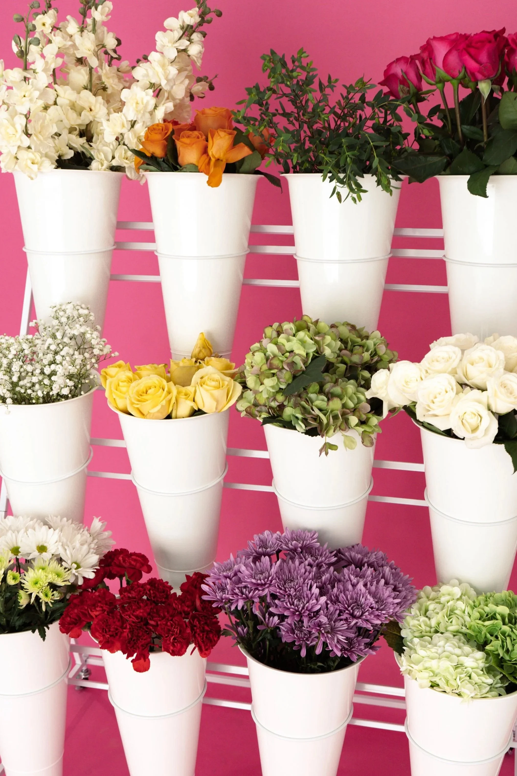 Multiple white flower pots with colorful flowers including white, orange, pink, yellow, green, and purple flowers on a pink background.