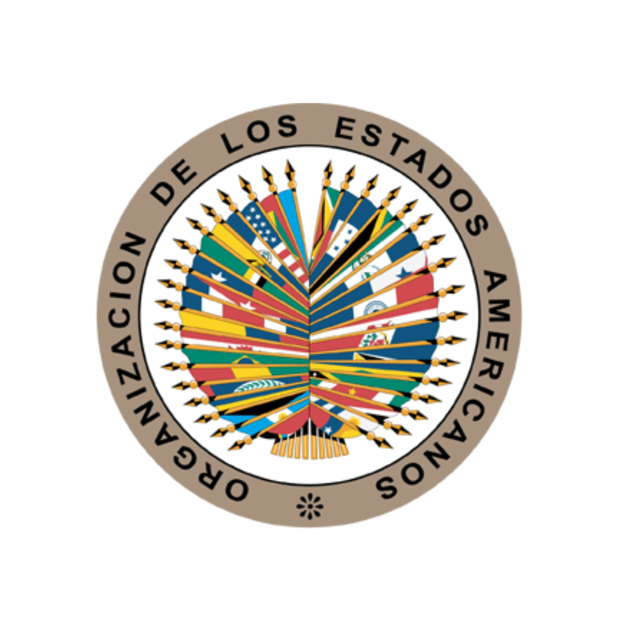 Logotipo de Organización de los Estados Americanos con múltiples banderas de países miembros en el centro.