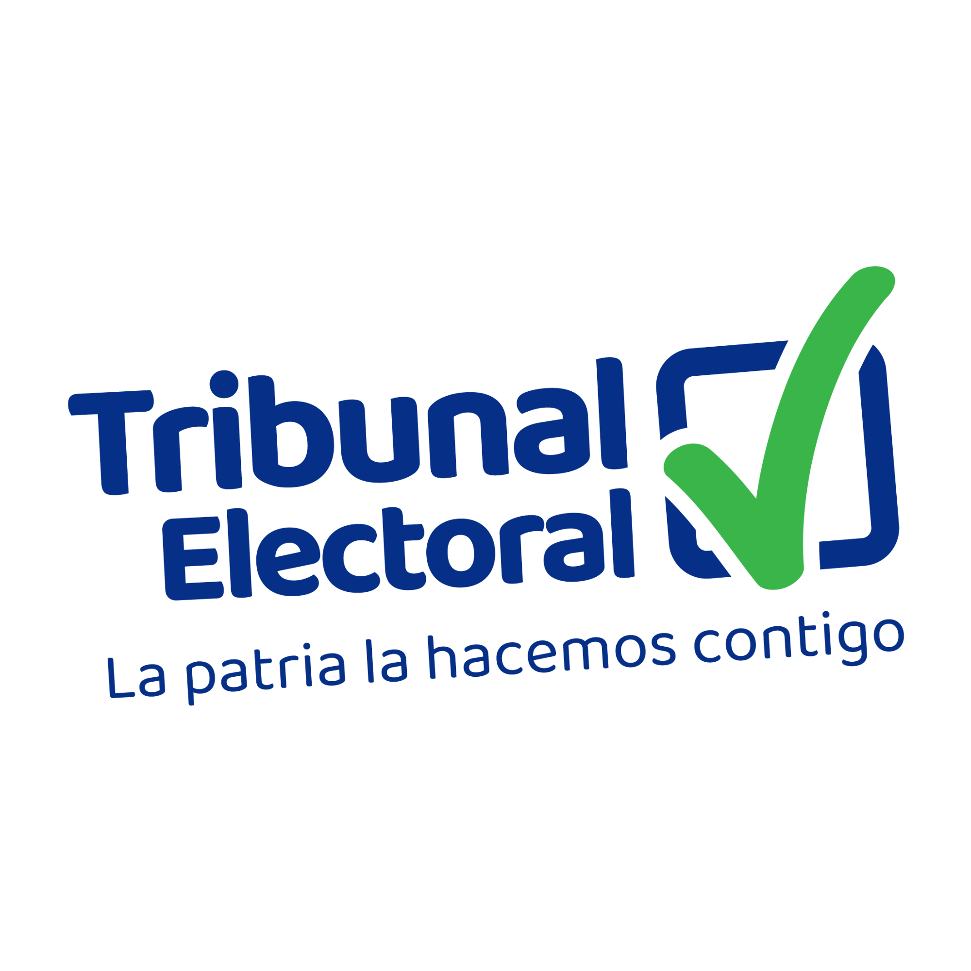 Logo del Tribunal Electoral con letras azules y un check verde, acompañado de texto en español sobre el proceso electoral y la patria.