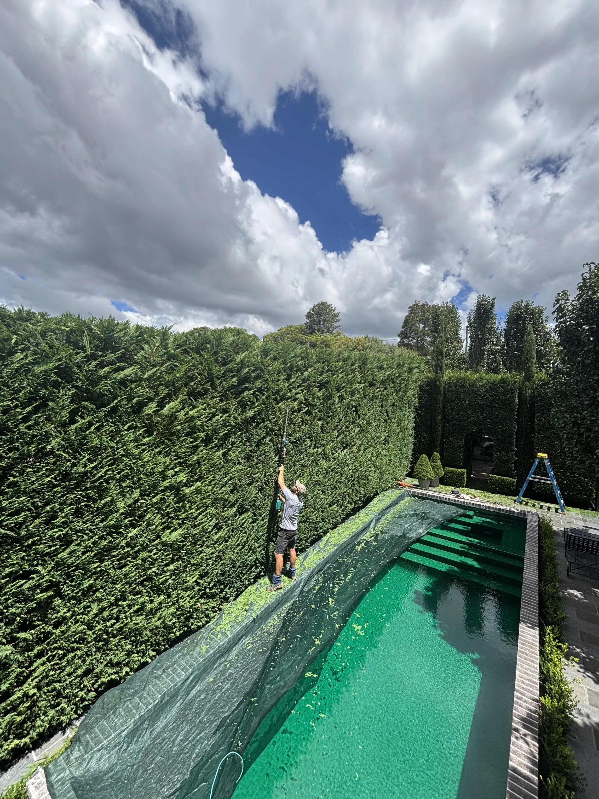 Premium Hedge Trimming -
Structured form and long‑term definition.


