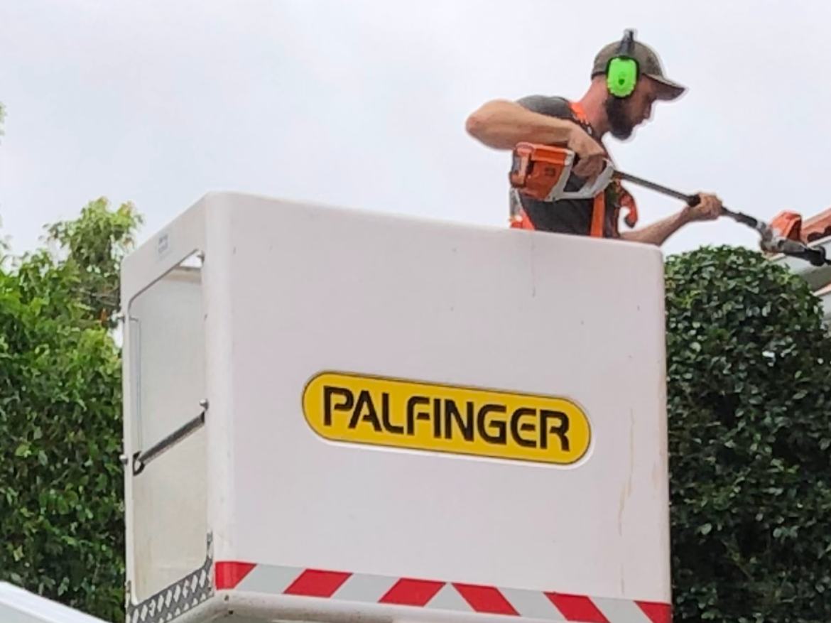 Elevated work platform – EWP work - Full licenced Hedge trimming, hedge reductions and pruning from all types of Elevated platforms including spider lifts, Cherry pickers etc.