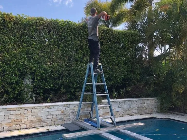 Specialist and difficult access hedge trimming
 - Trimming of high and hard to reach hedges including working over pools, gardens and fountains
