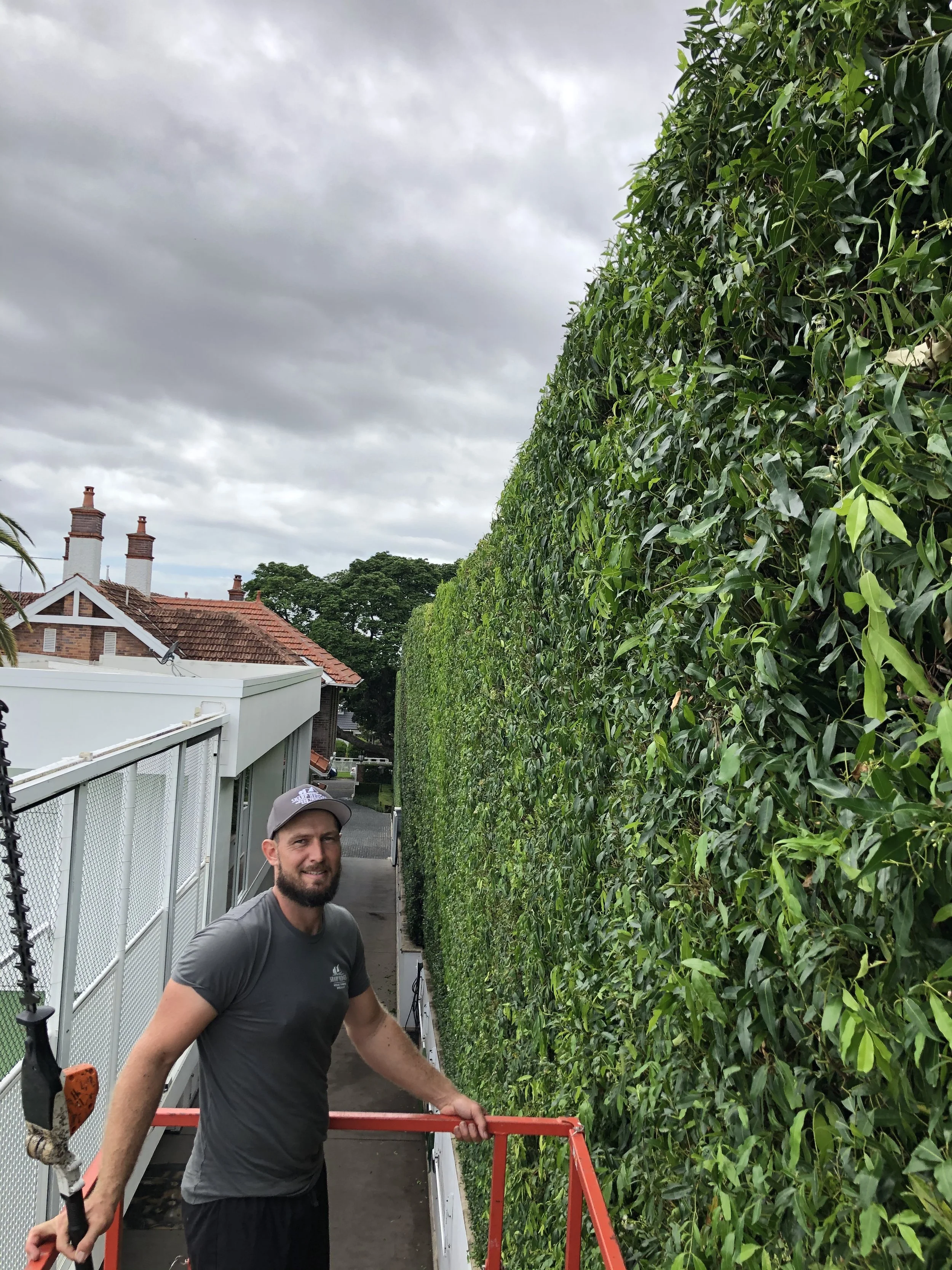 Man standing on a cherry picker near a tall green hedge, with houses and a cloudy sky in the background.