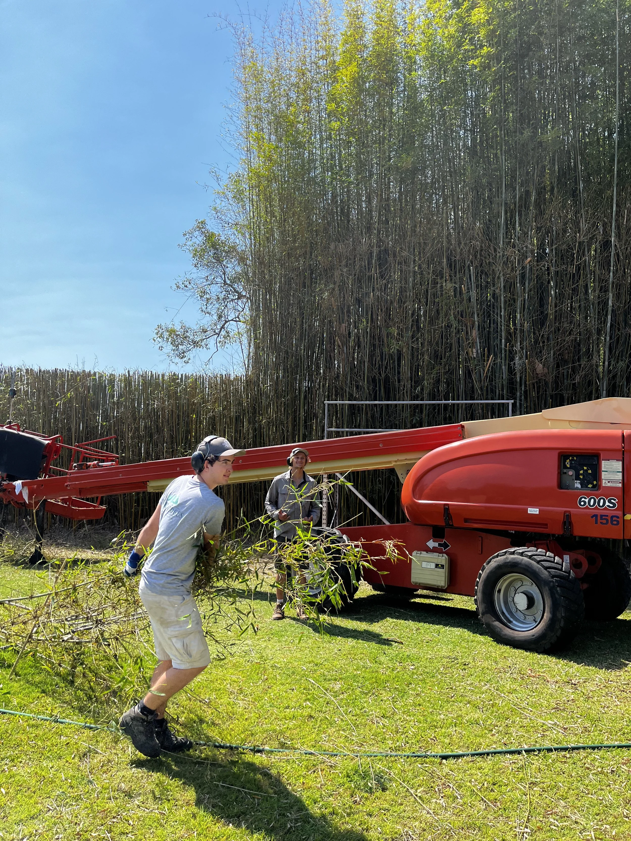 Two people working with a brush cutter near a large red wood chipper, clearing brush on a grassy field with tall thick trees in the background.