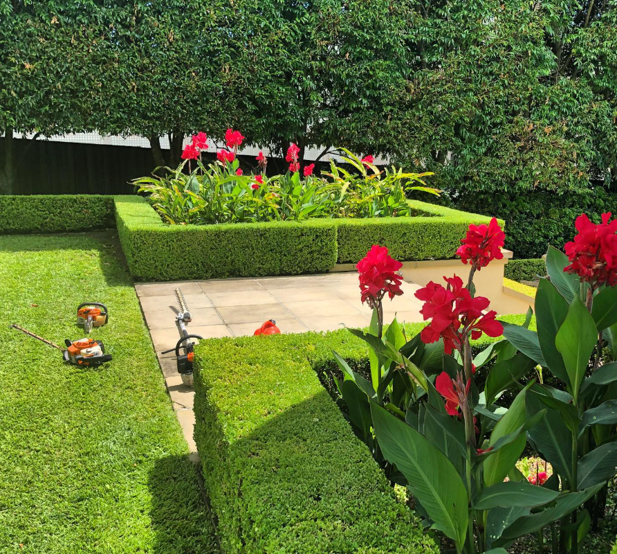 Garden Care - ongoing attention that supports balance, growth, and longevity.
