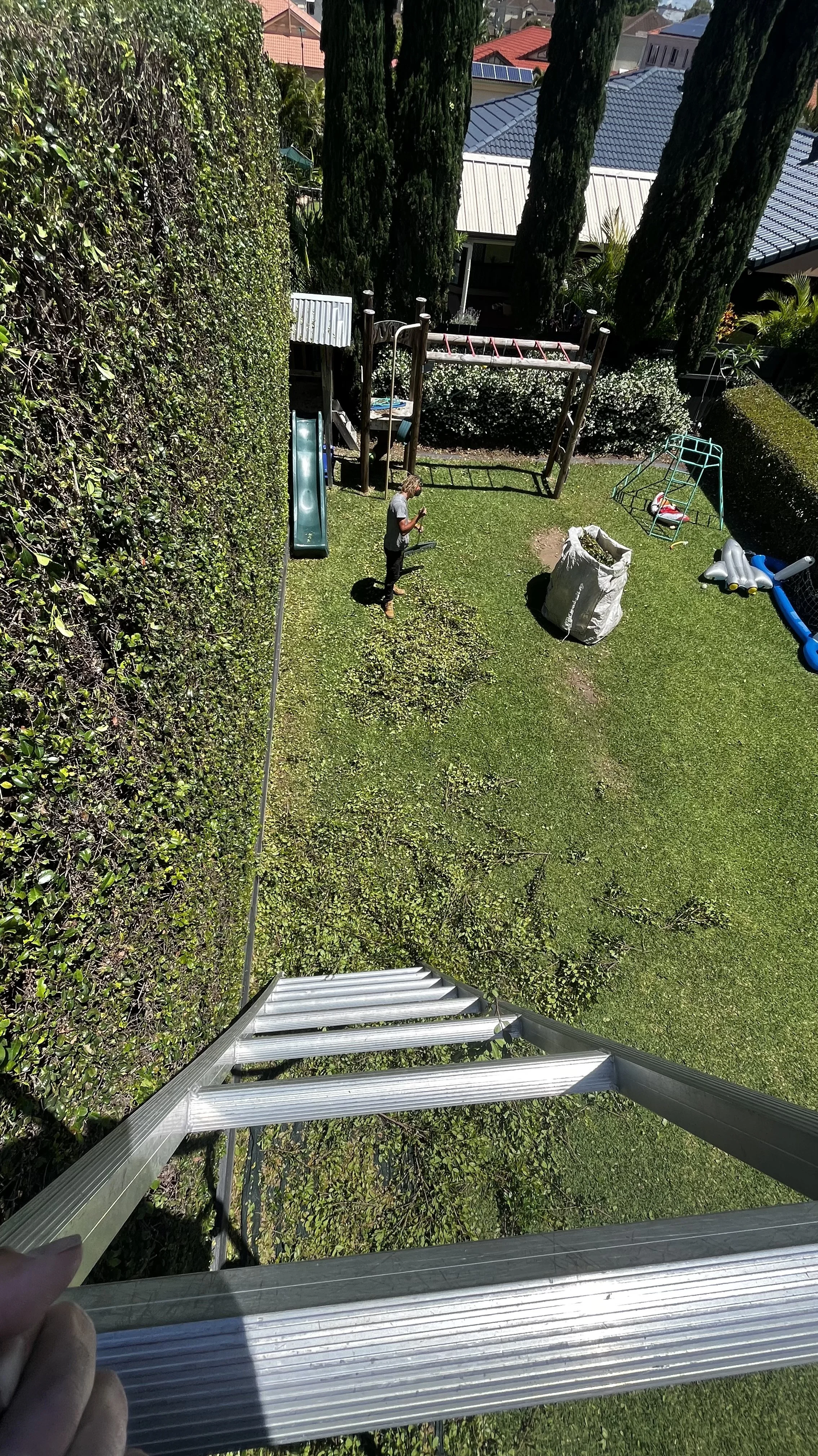 Hedge size reductions - Height and width reductions of large hedges.