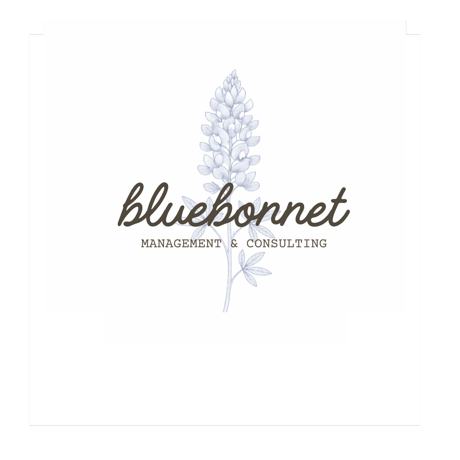Bluebonnet Management &amp; Consulting 