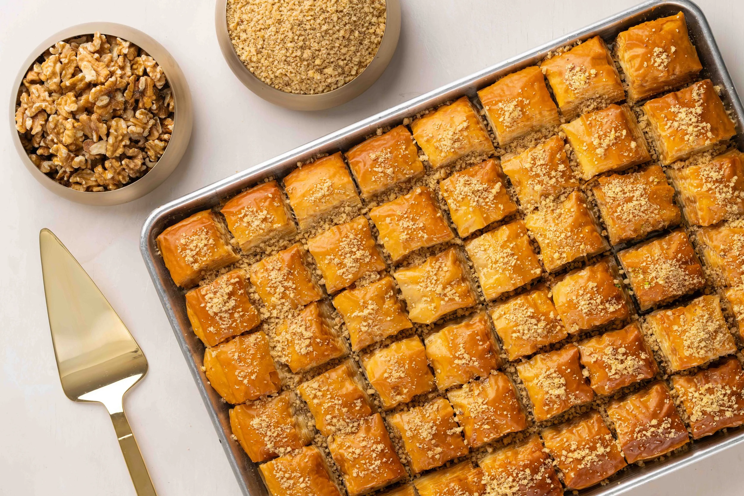 DSC08898_y copy 2.jpg