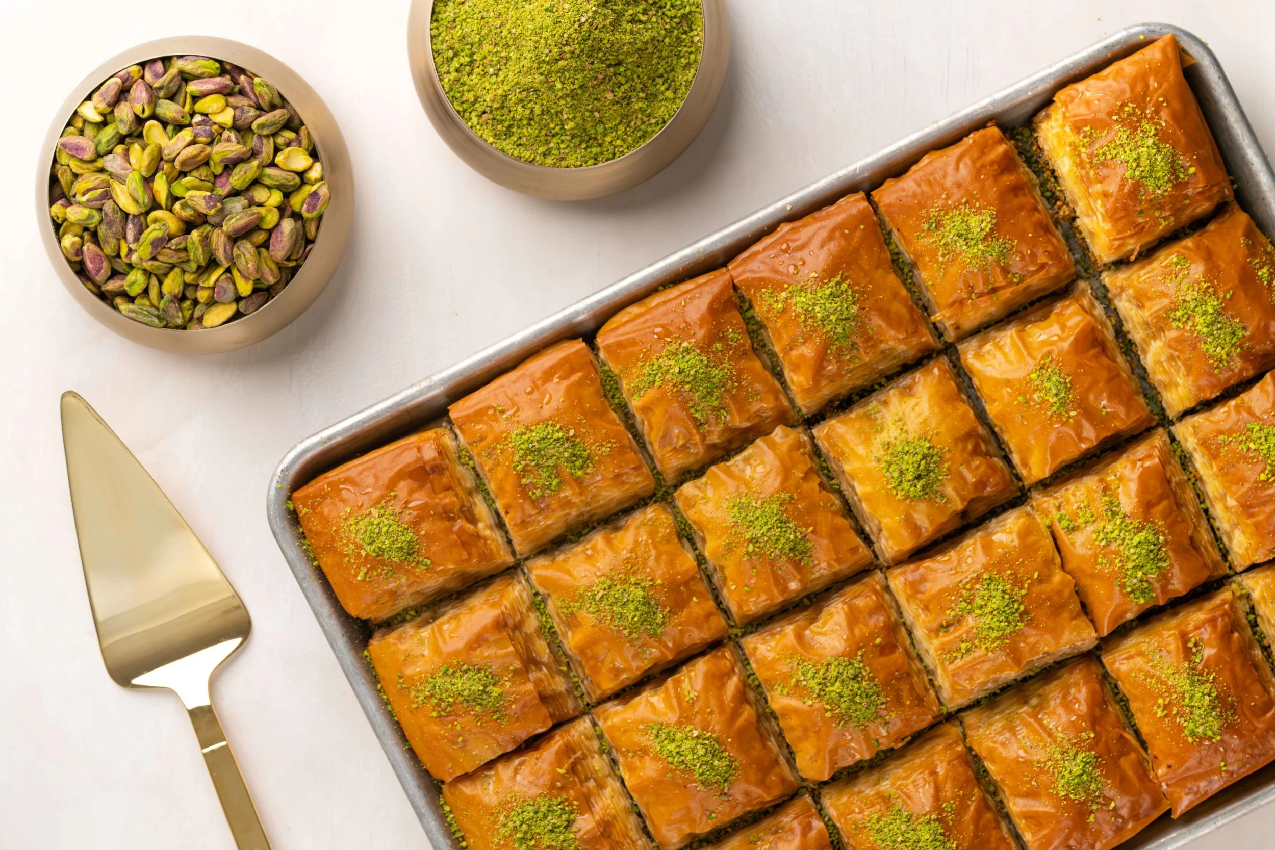 DSC08894_y copy 2-2.jpg