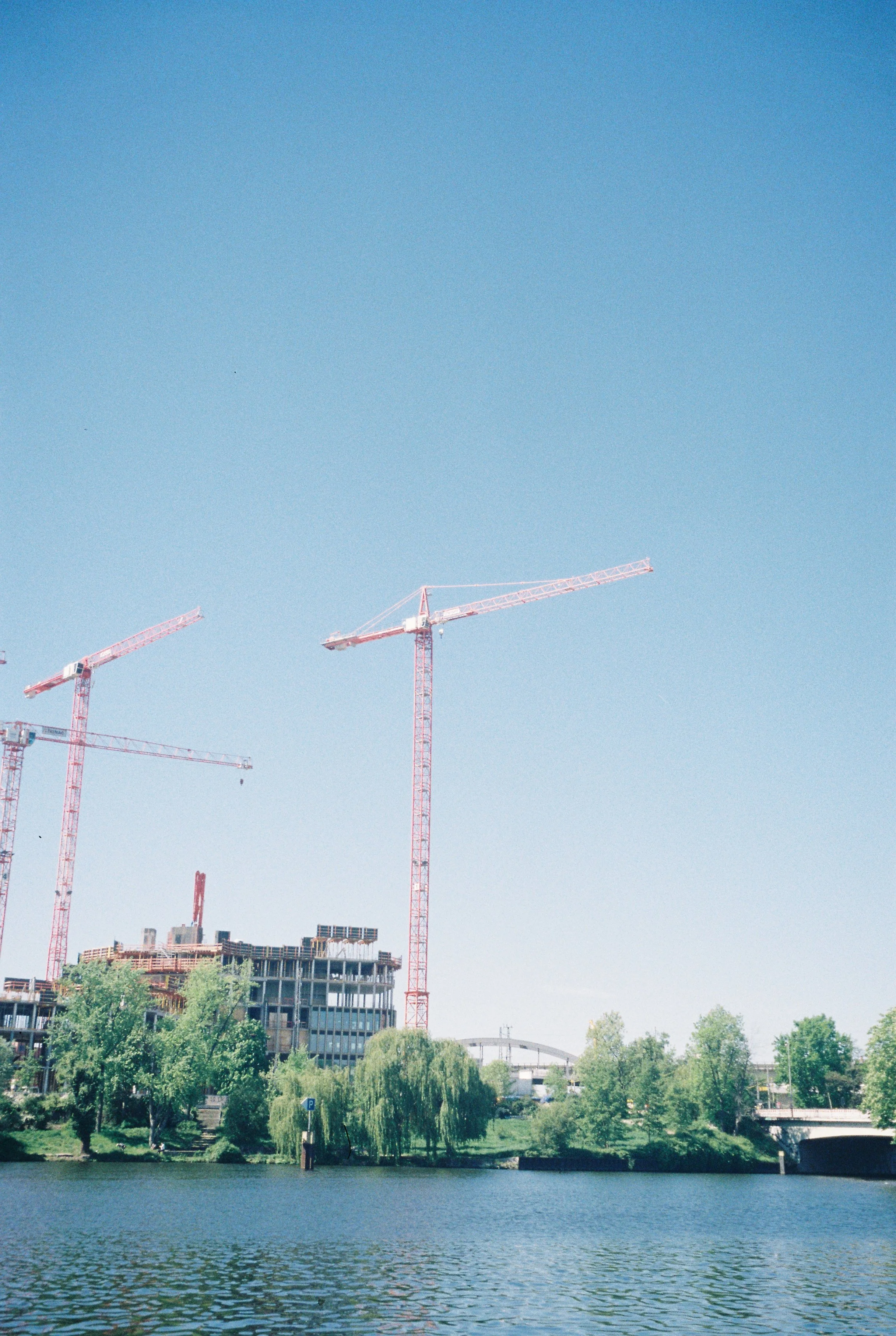 image00001.jpeg