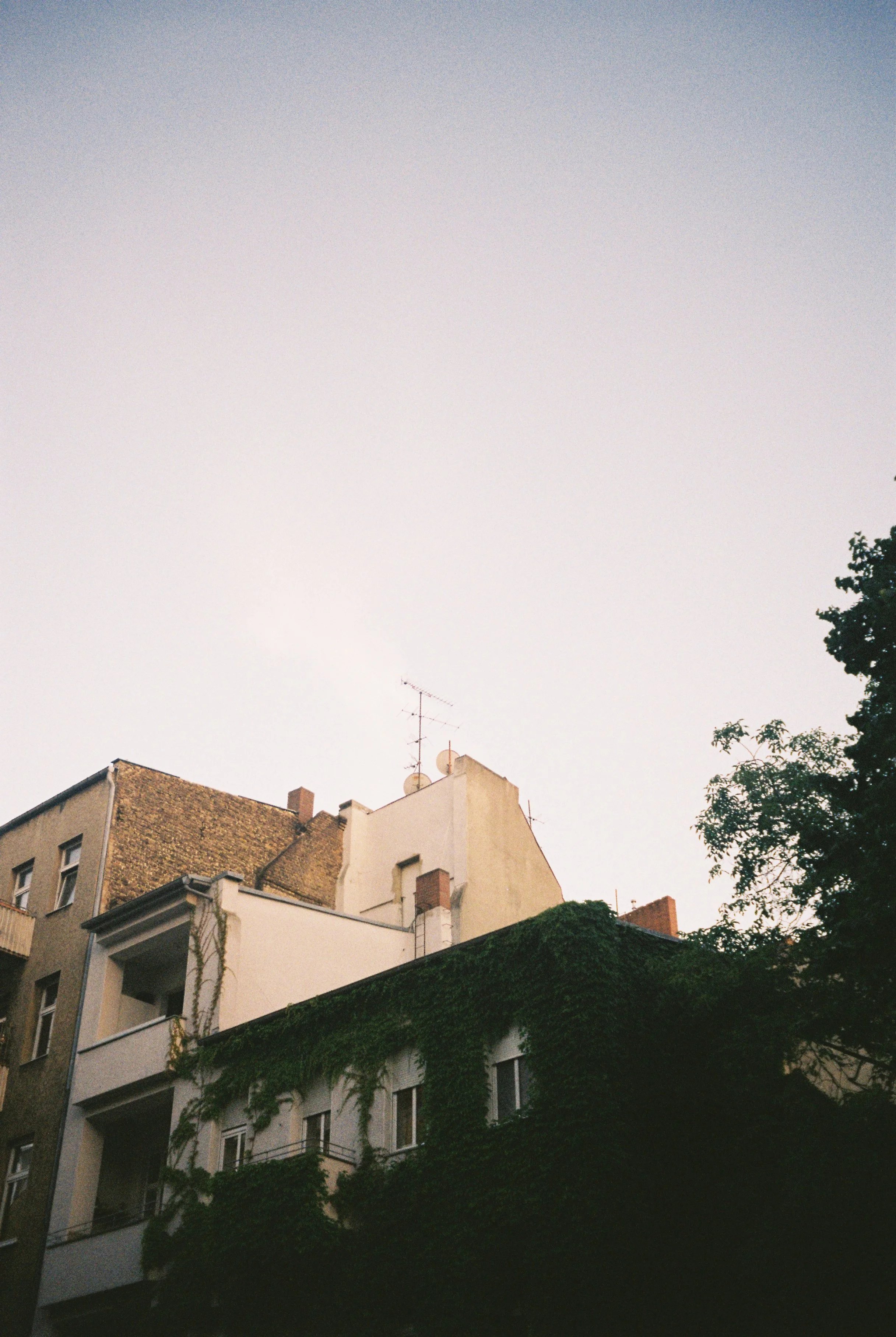 image00038.jpeg