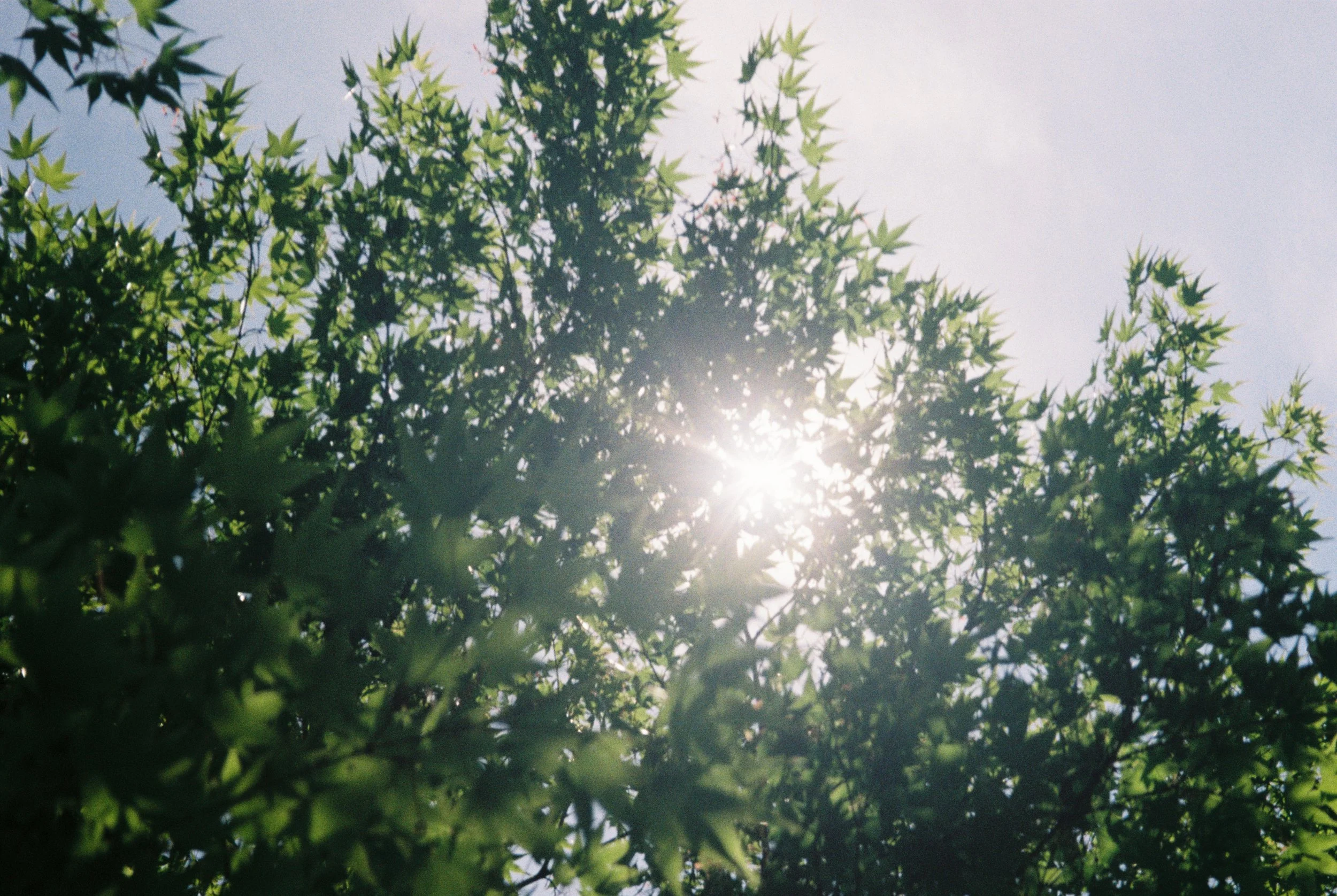 image00012.jpeg