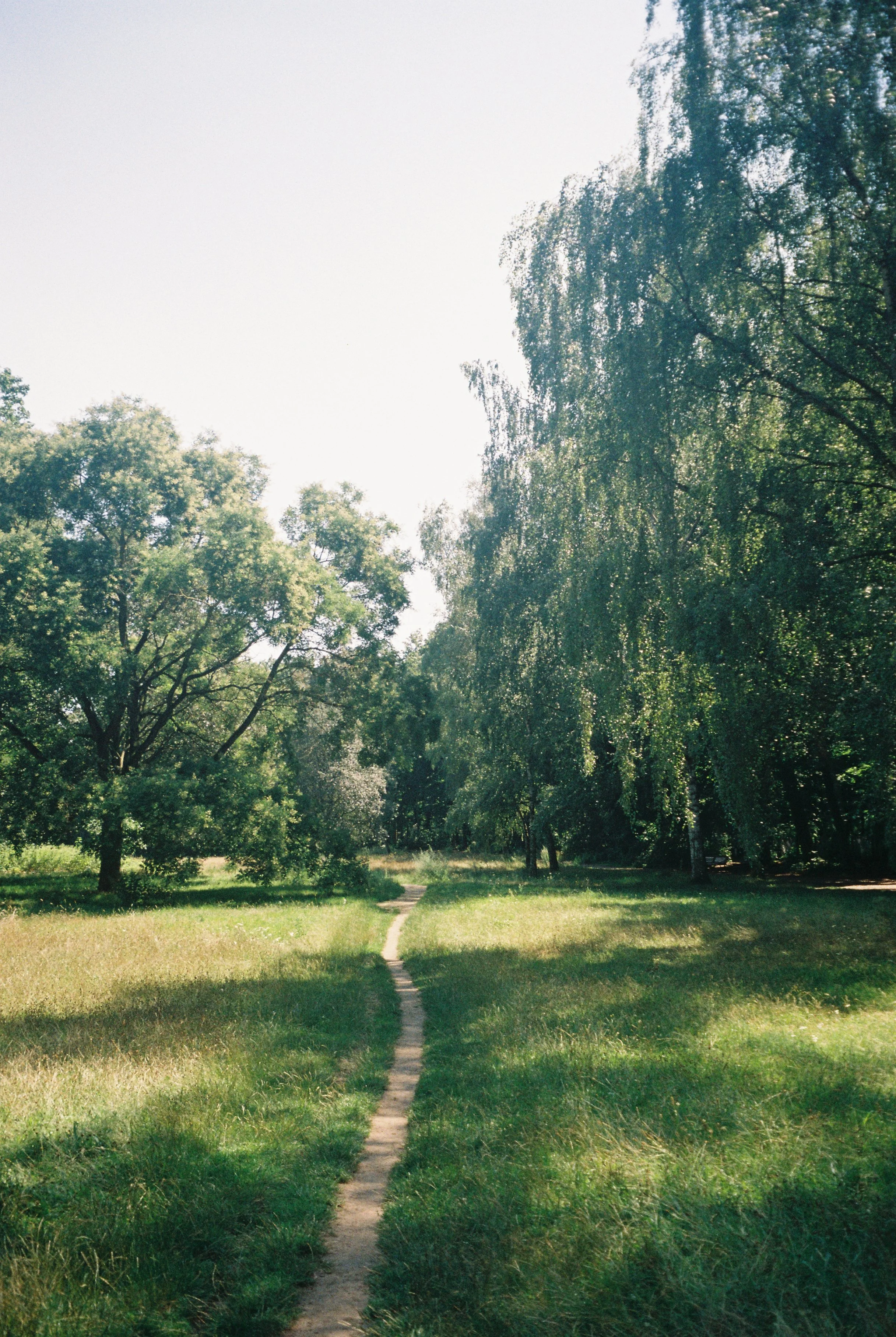 image00029.jpeg