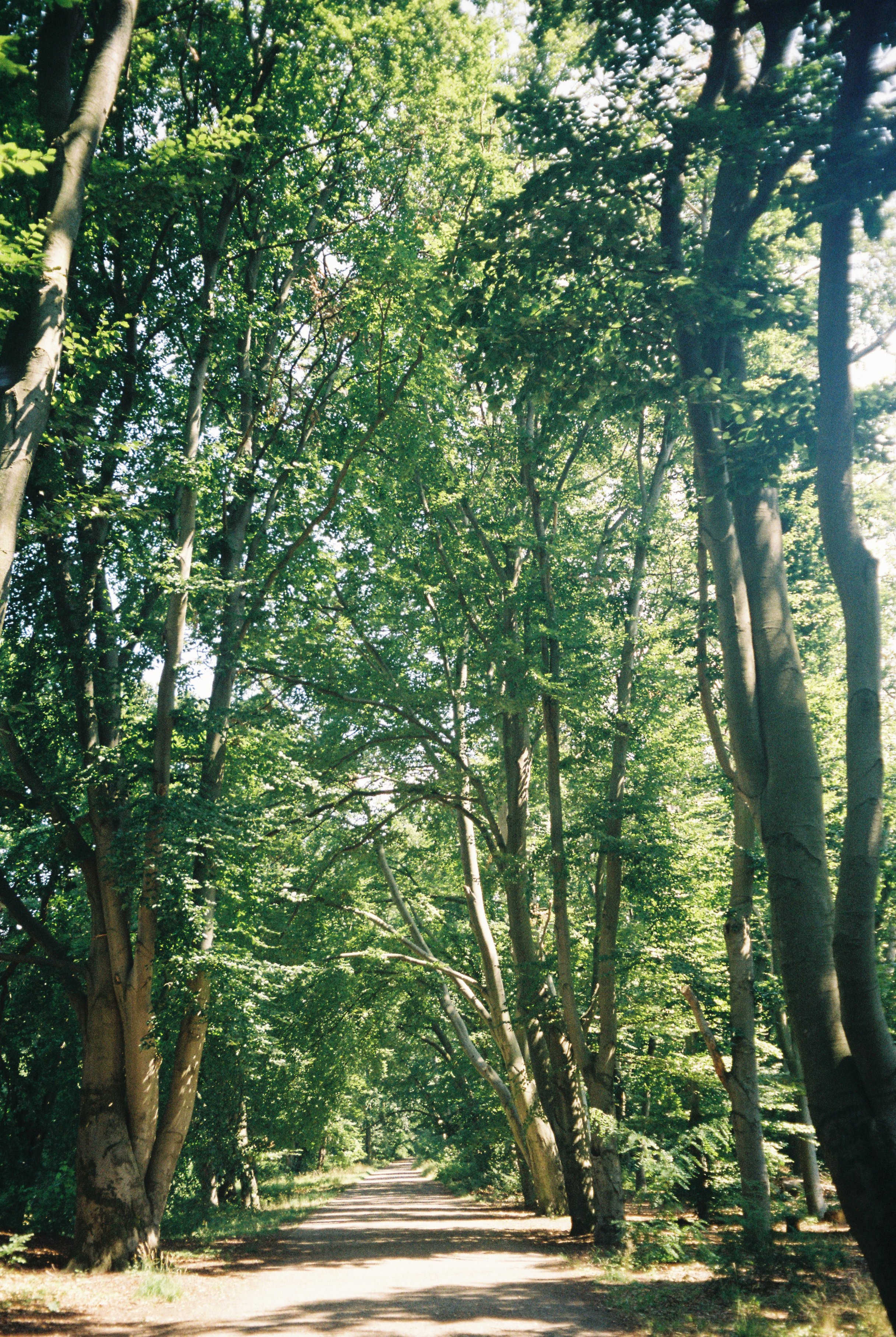image00028.jpeg