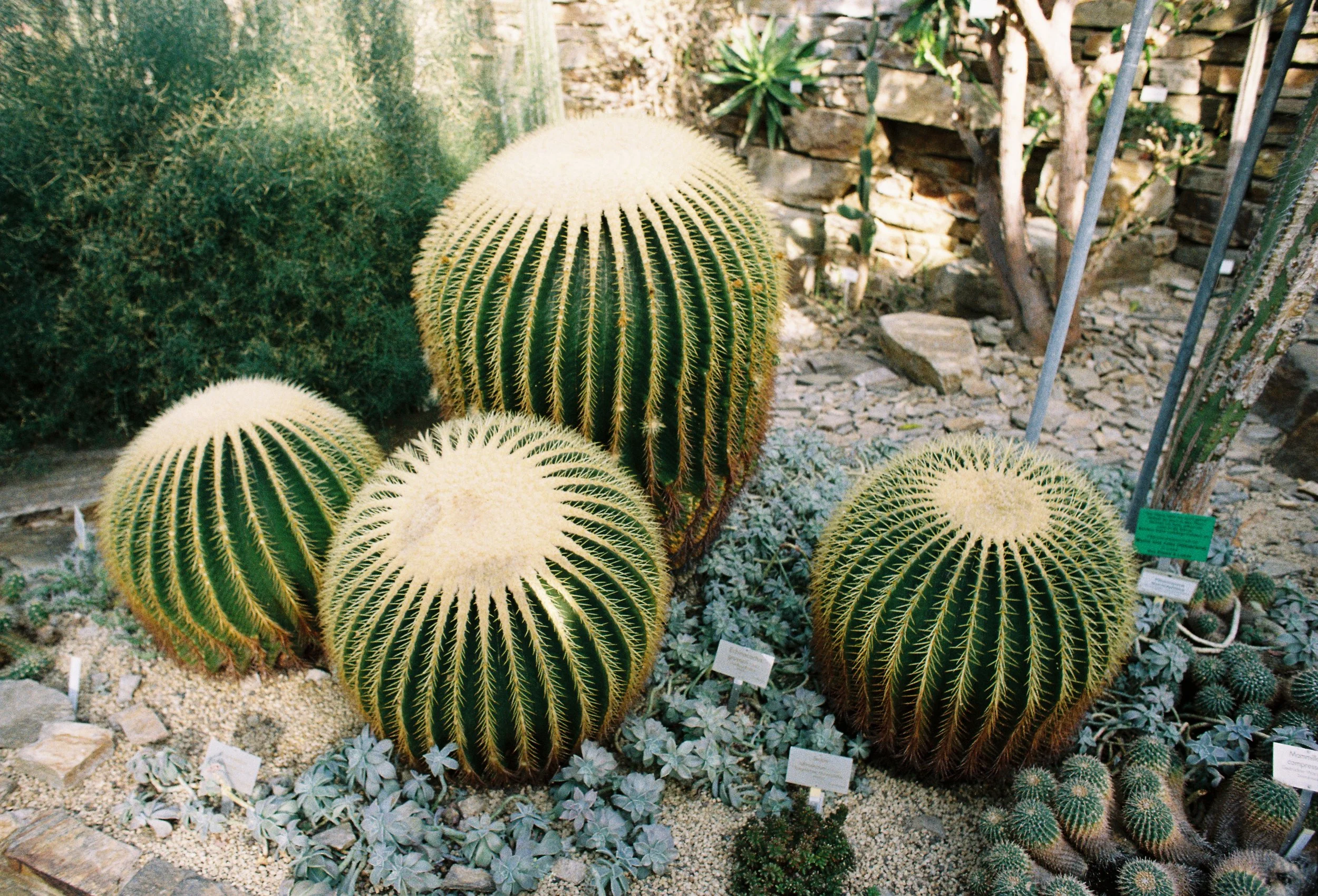 R1-03526-0010.jpg