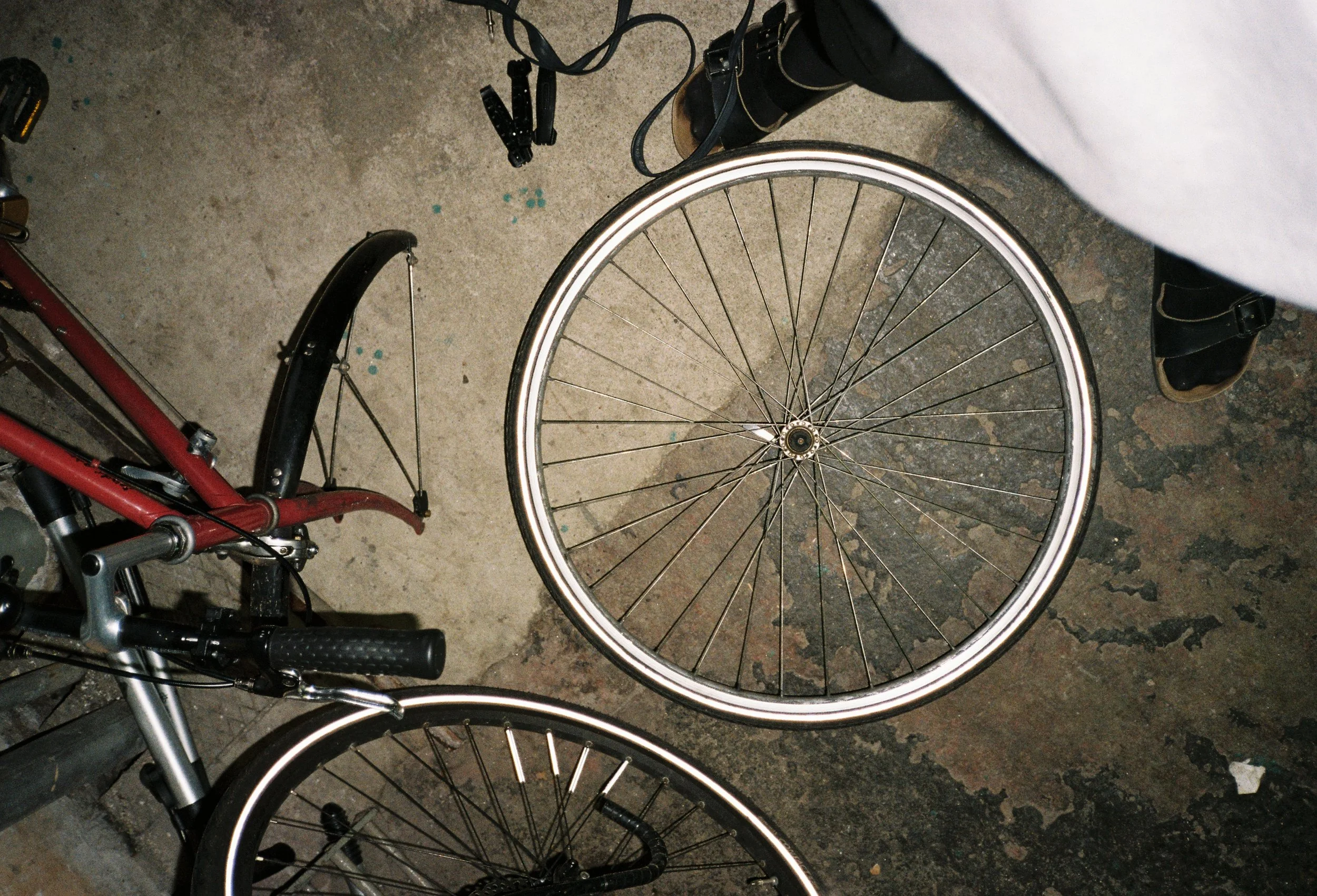 image00097.jpeg