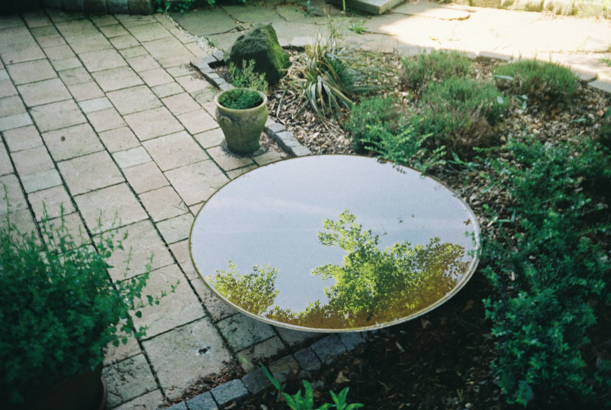 image00008.jpeg