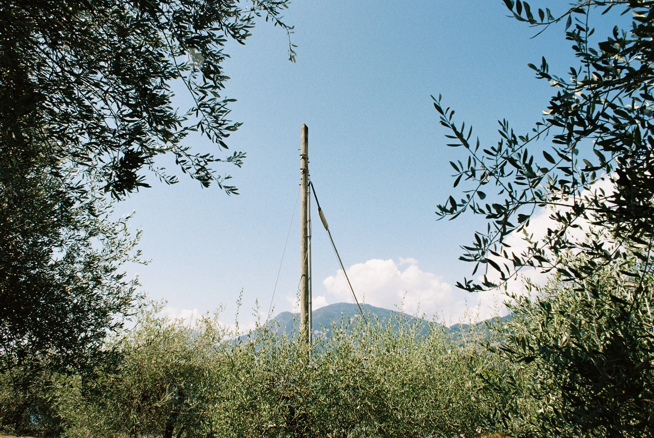 R1-07888-020A.jpg