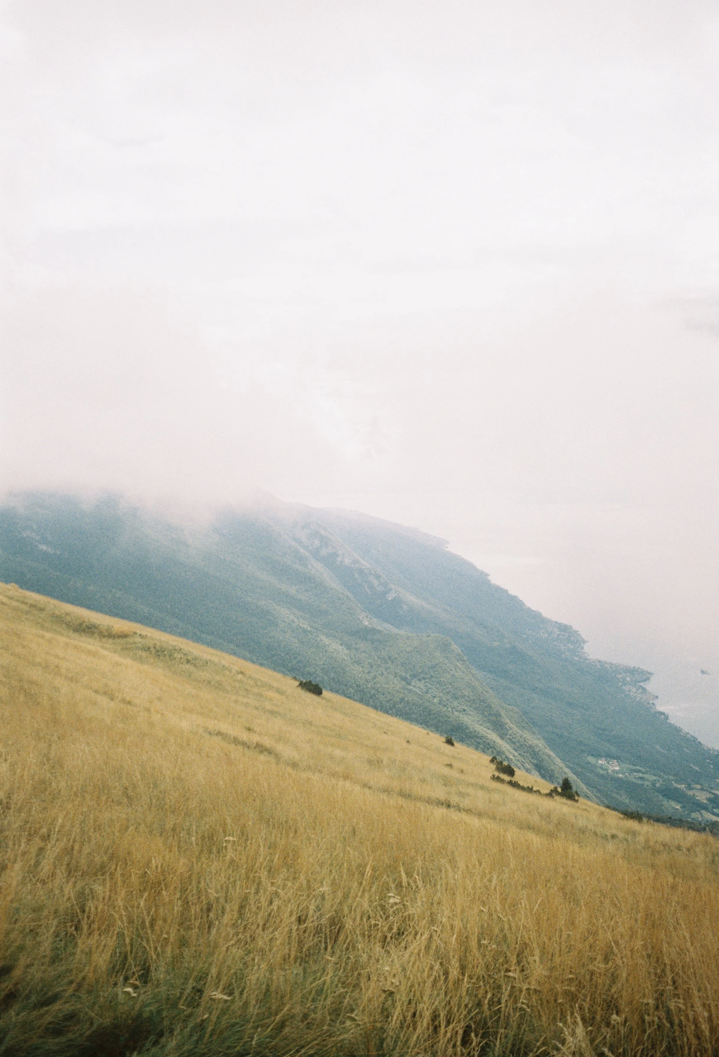 image00015 1.jpeg