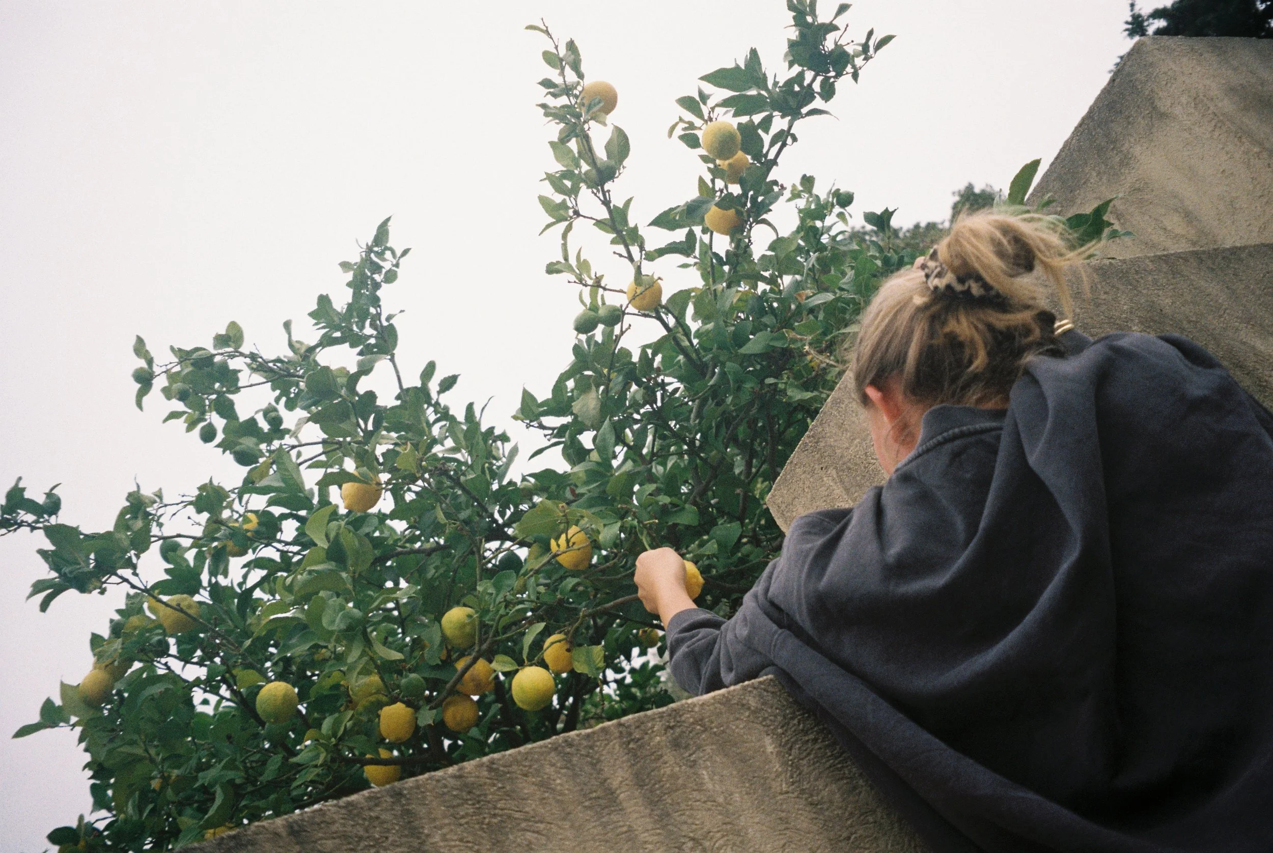image00025.jpeg
