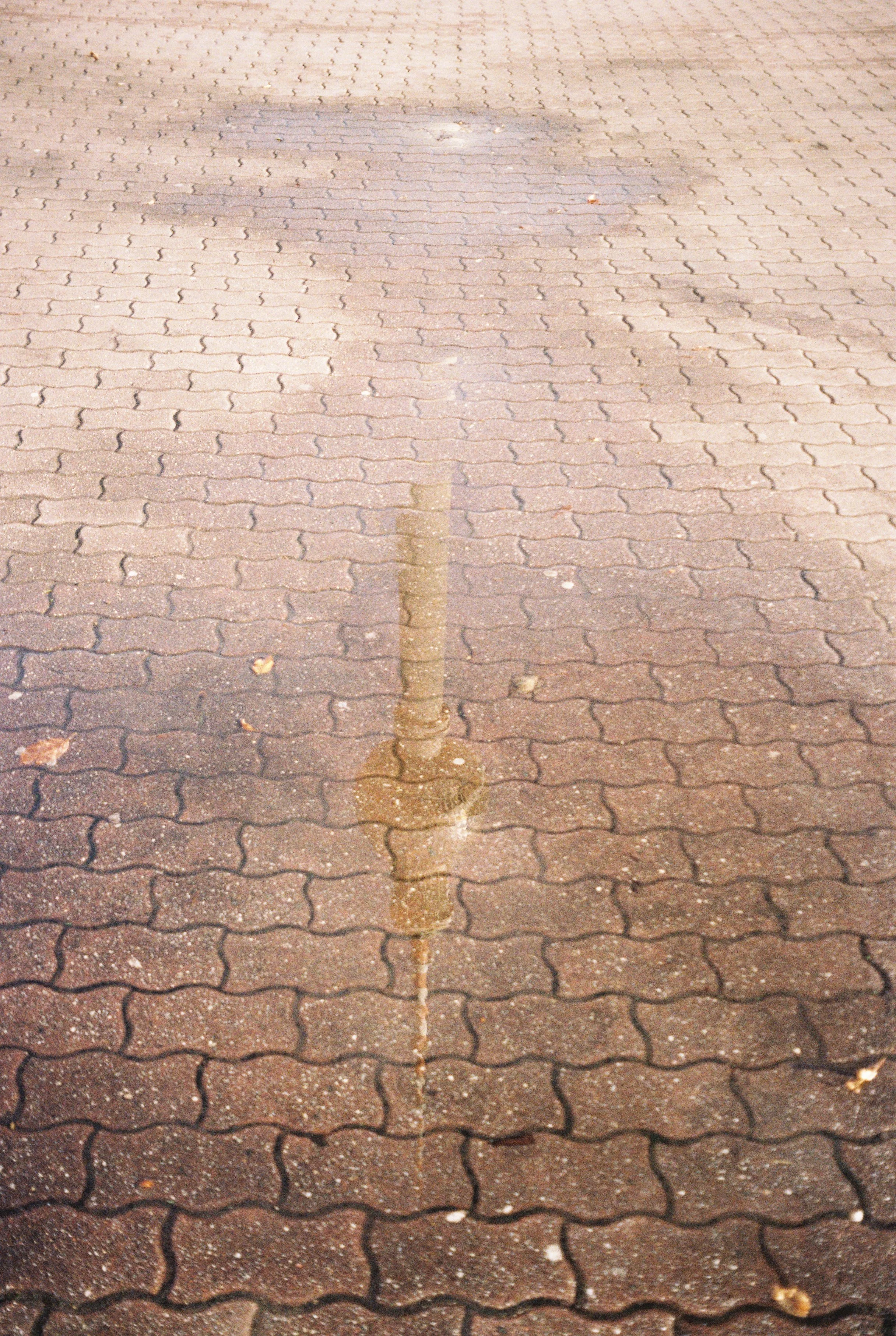 R1-05730-015A.jpg