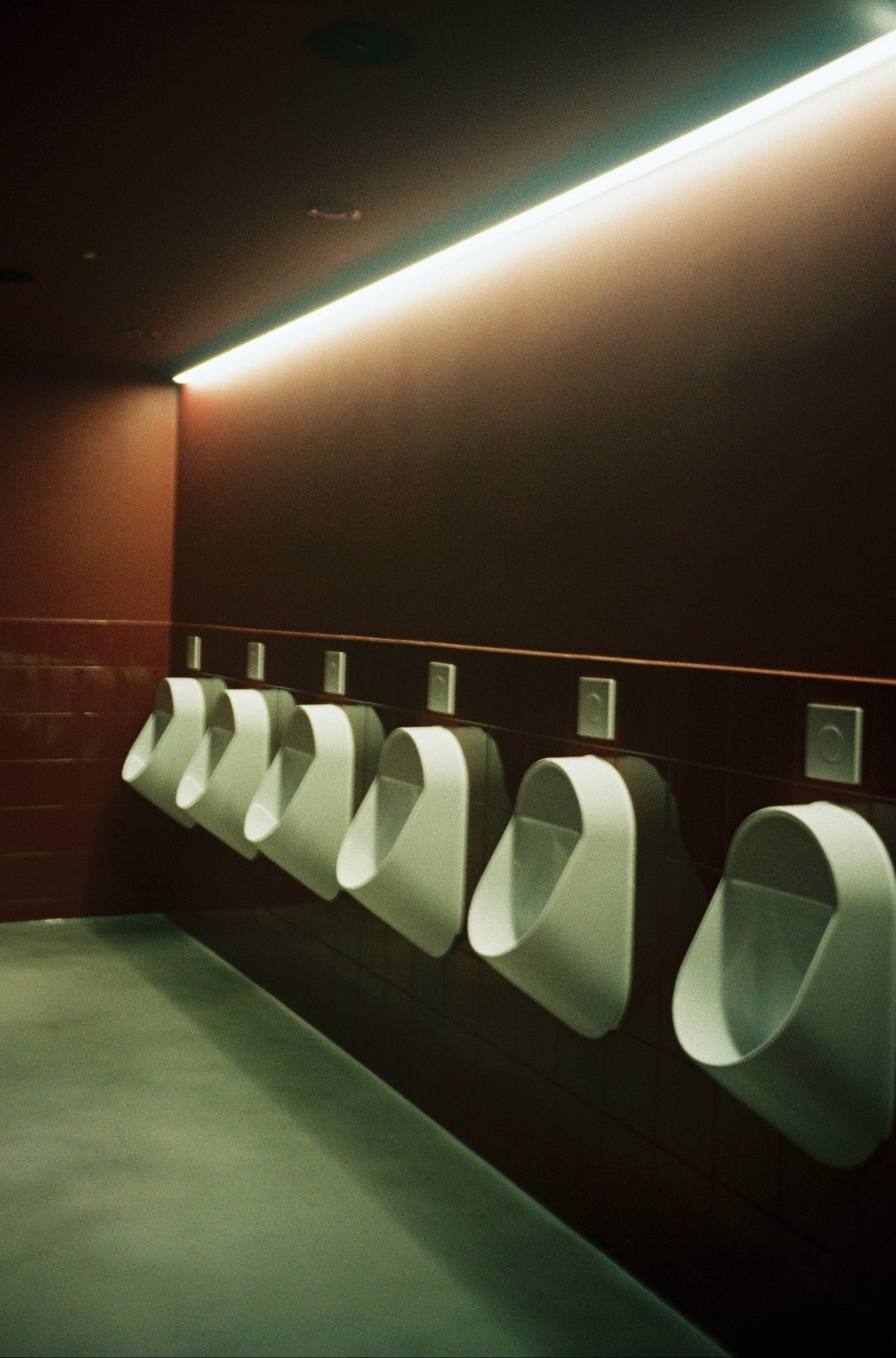 image00039.jpeg