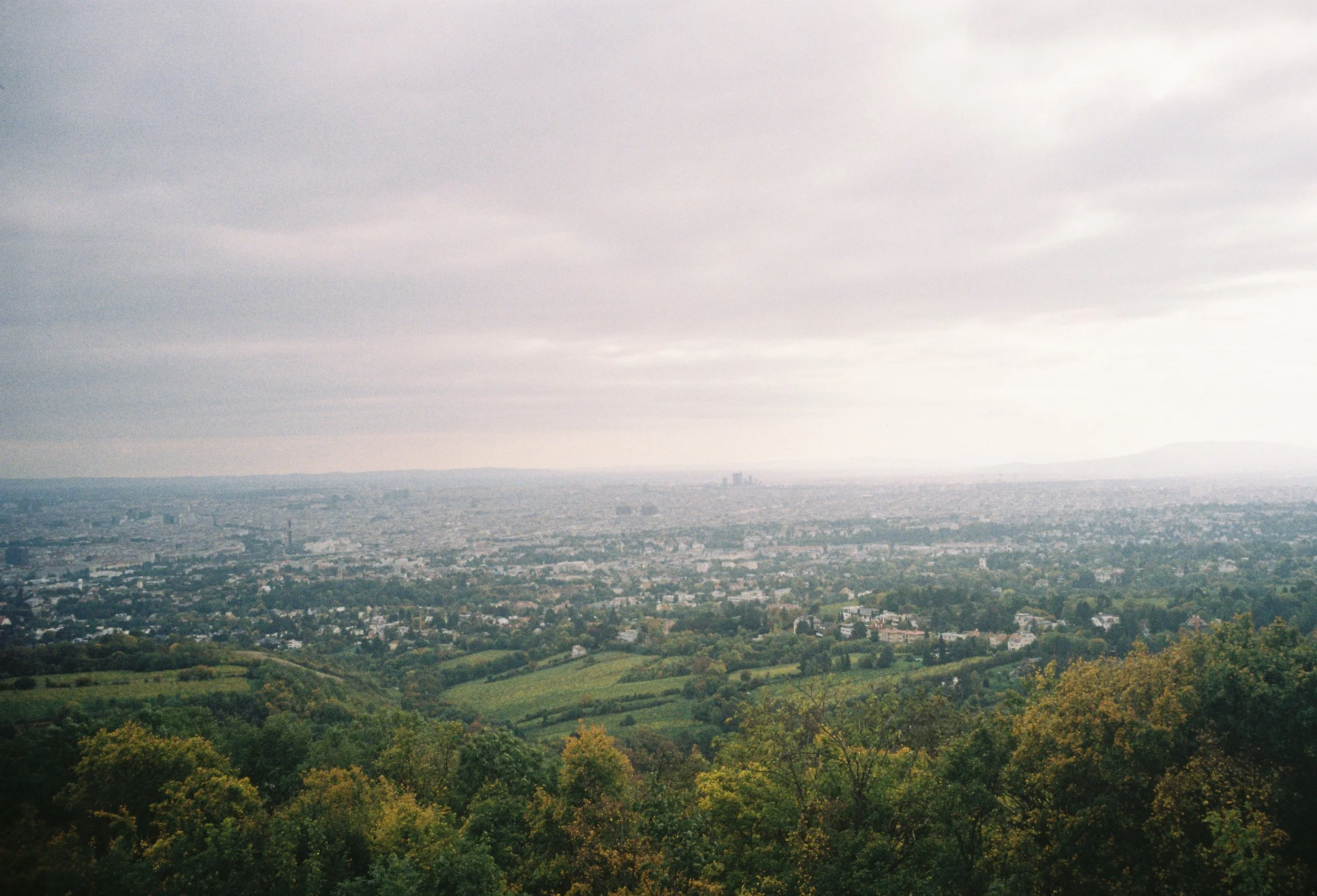 R1-02313-013A.jpg